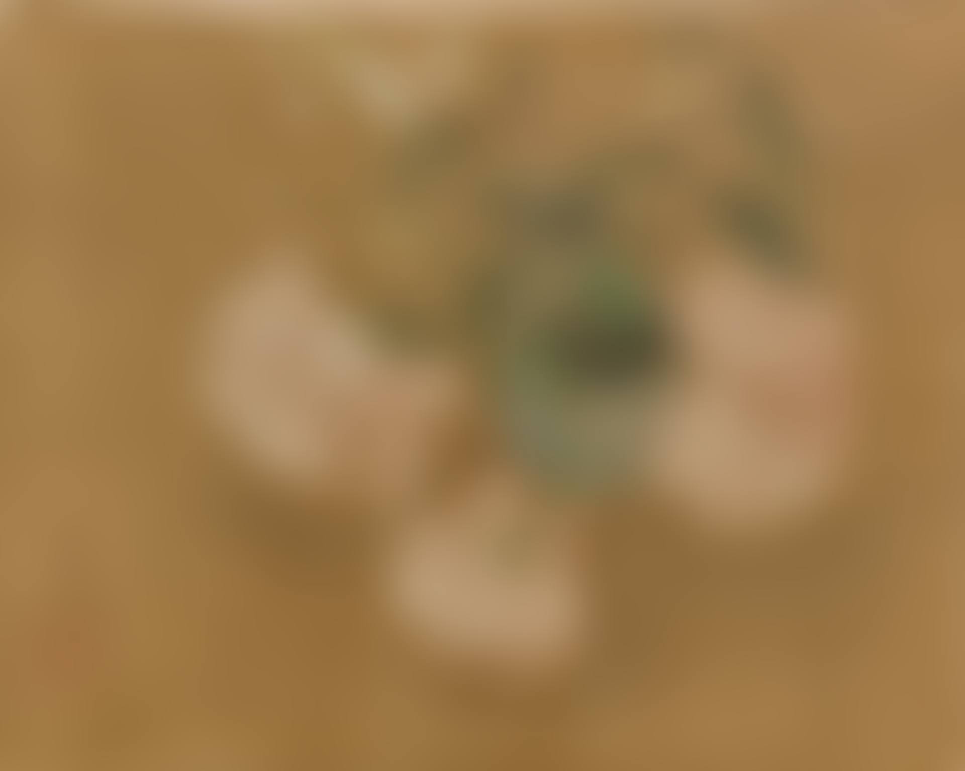 Pivoines au vase  (preview)