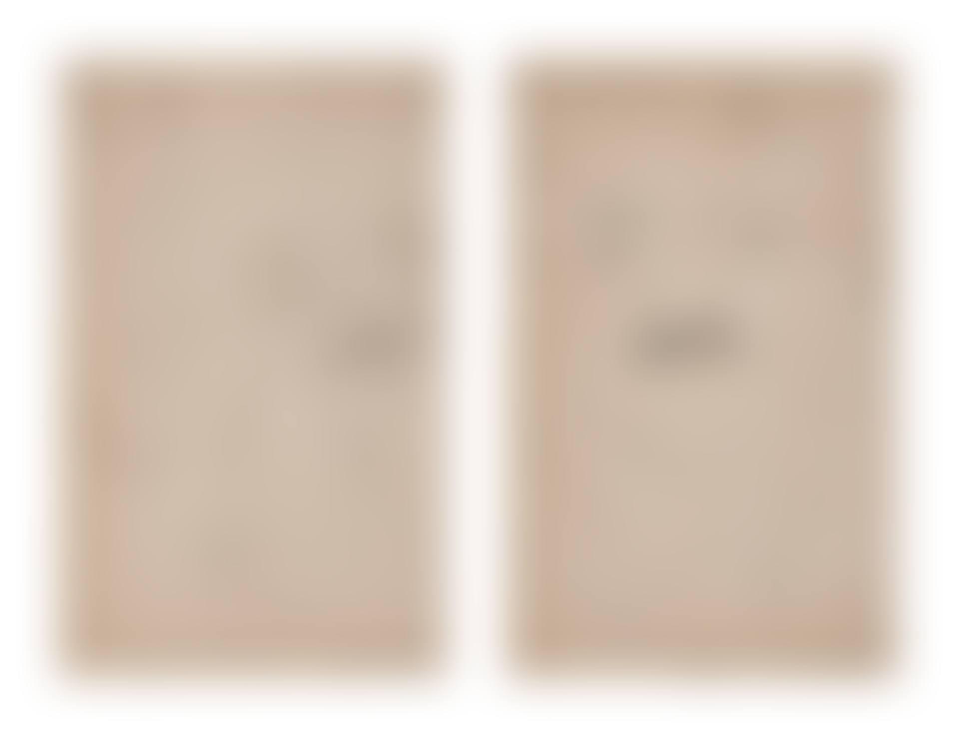 Untitled (two works) (preview)