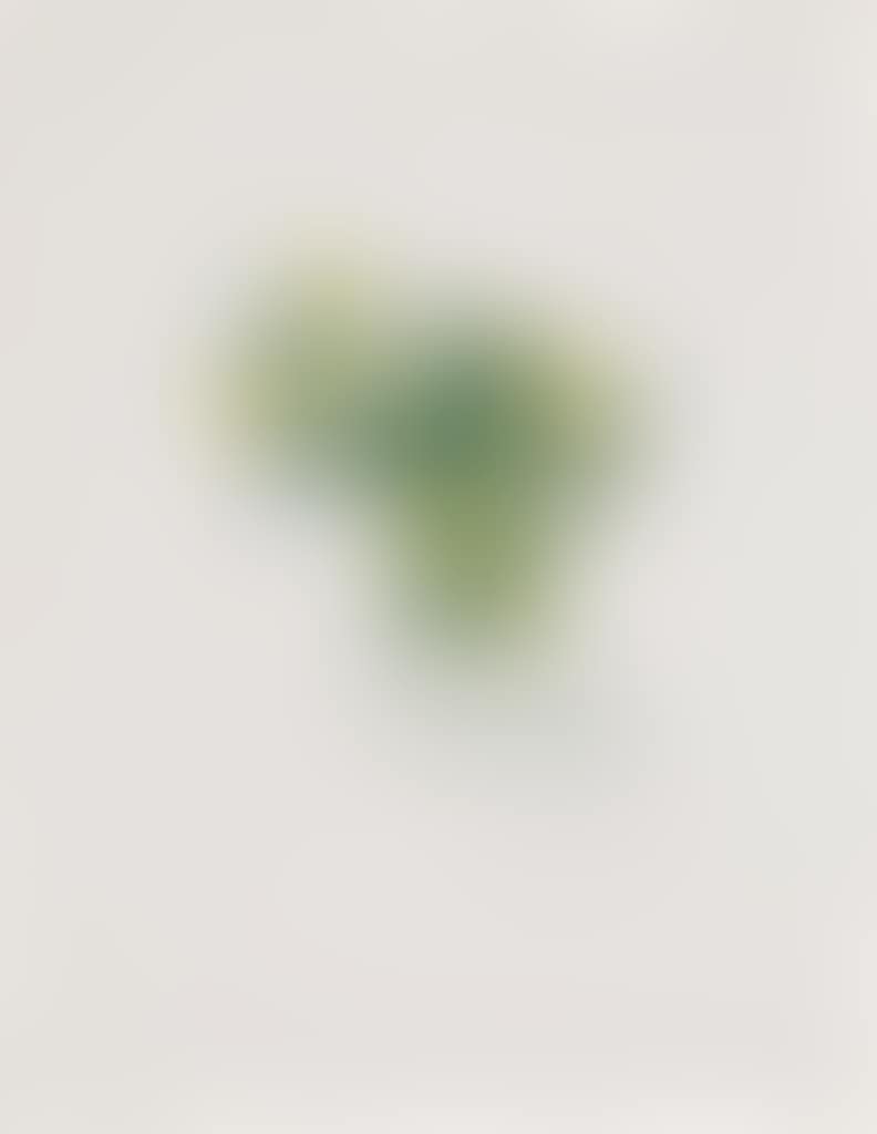 Marguerites (preview)