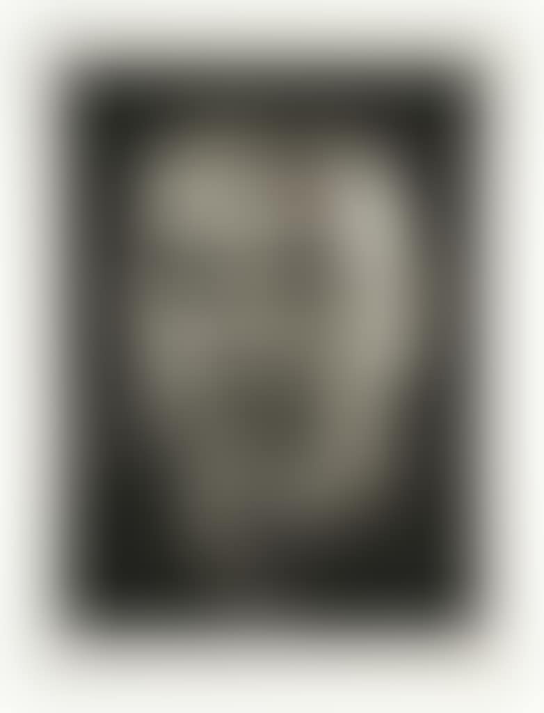 Self-Portrait/Photogravure (preview)