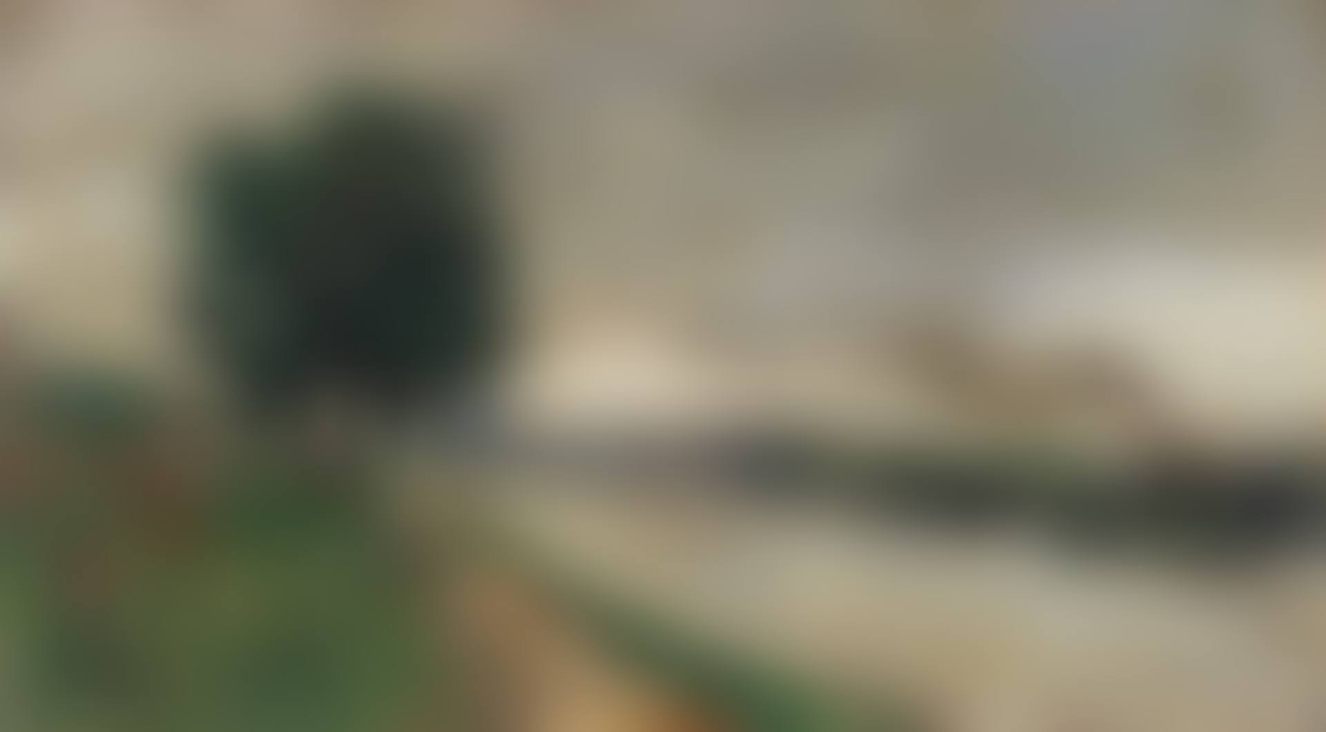 Blick auf den Rhein (preview)