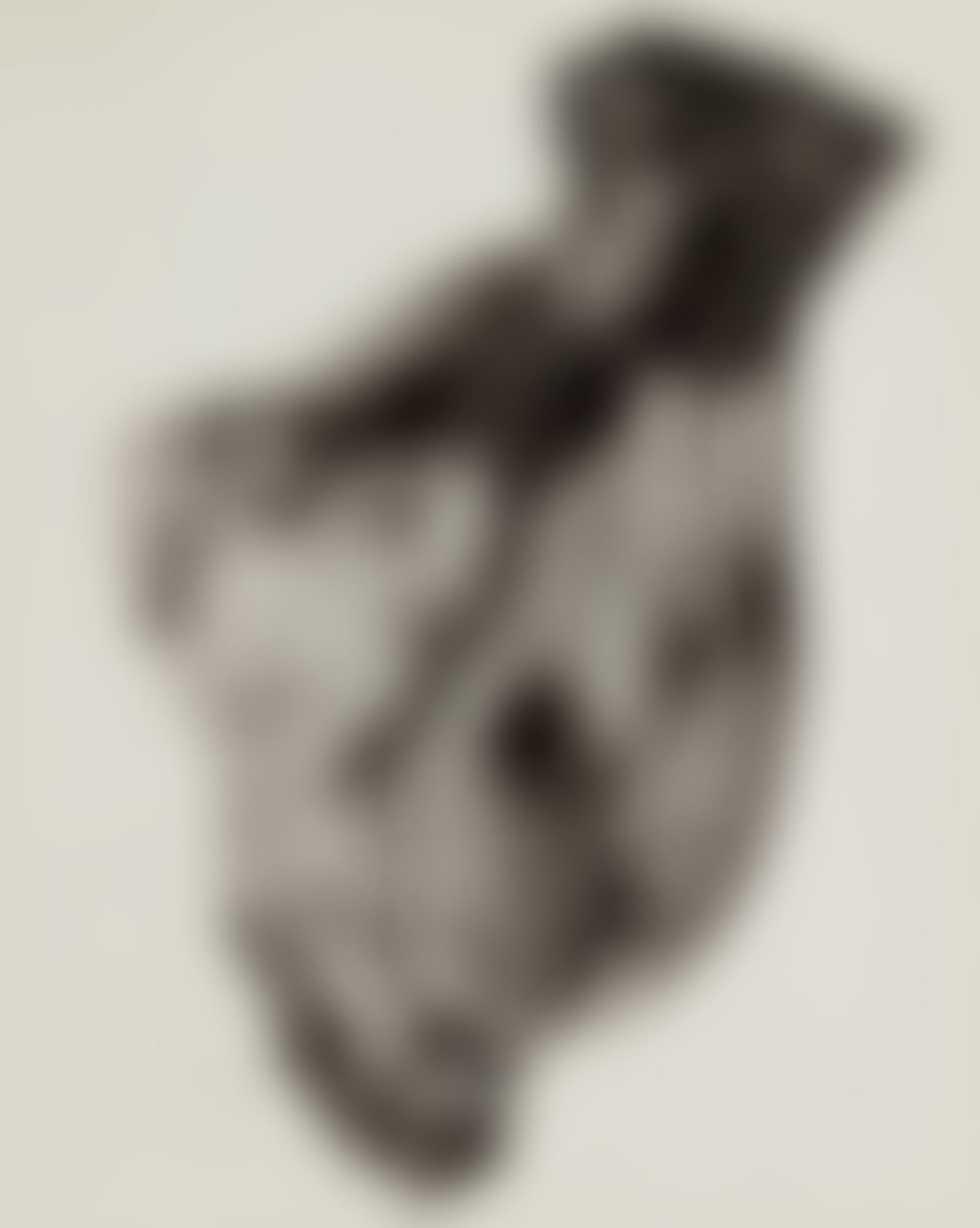 Negative #77 (preview)