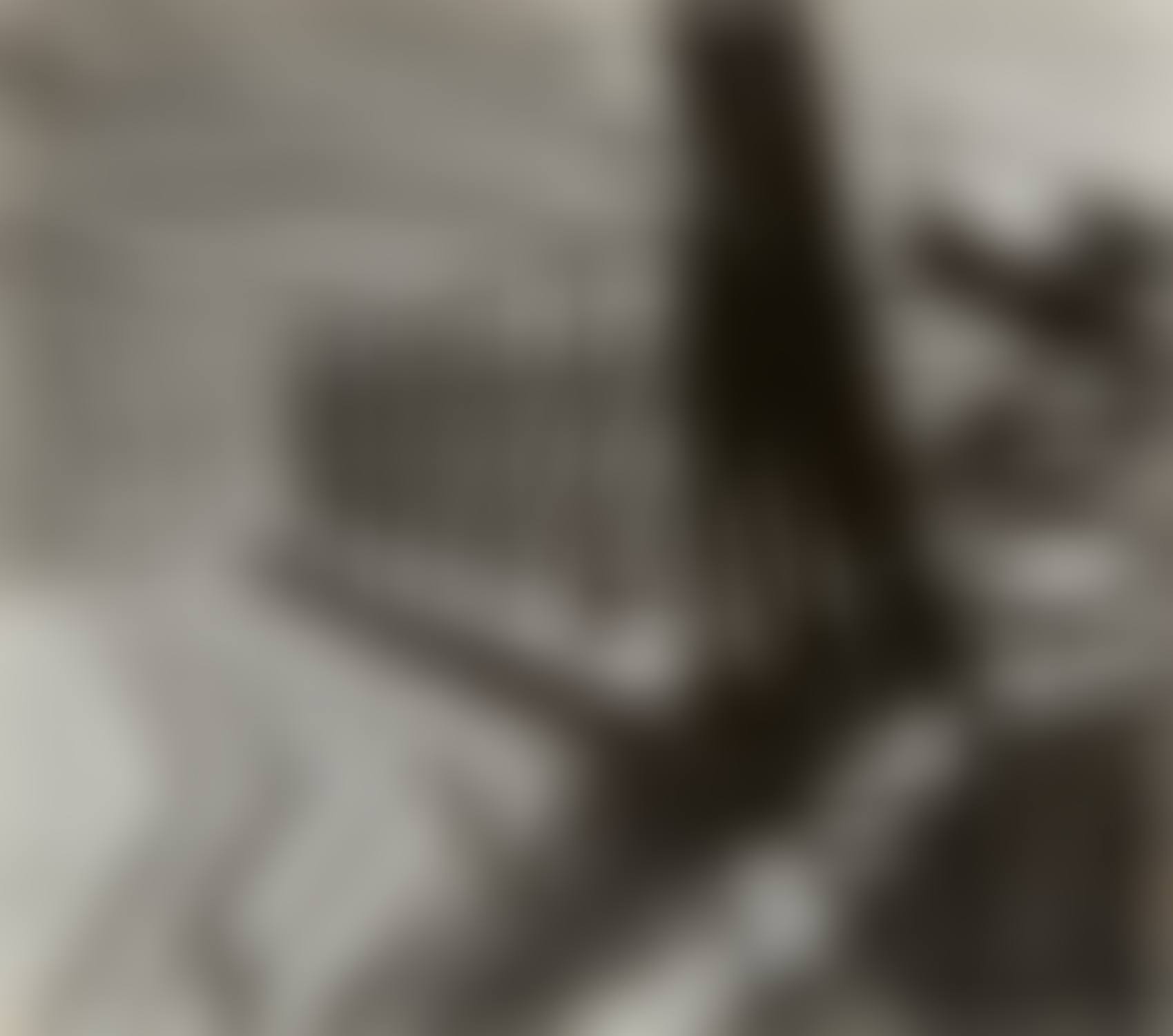 Pont Grenelle (preview)