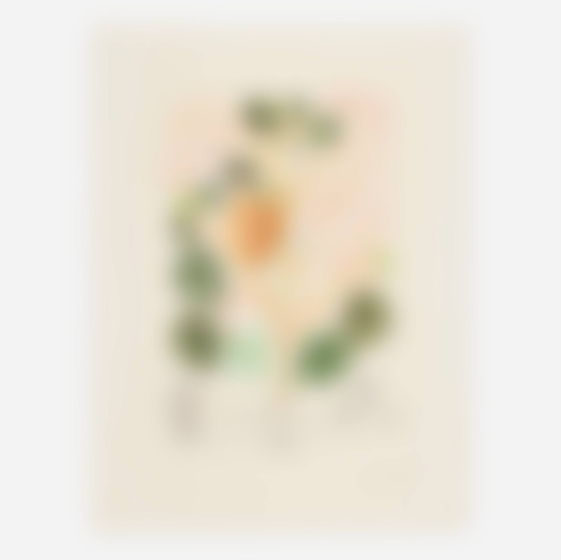 Anacardium recordans (Begonia Le Coeur) (from the Flordali series) (preview)
