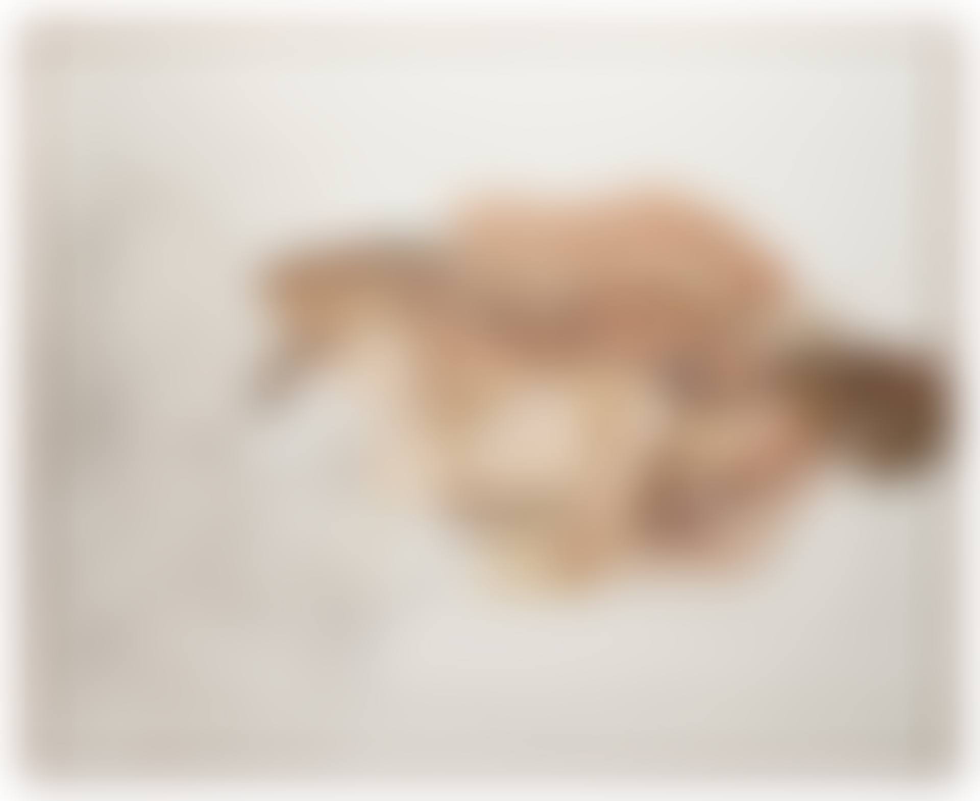 And the Bridegroom (first version, fragment) (preview)