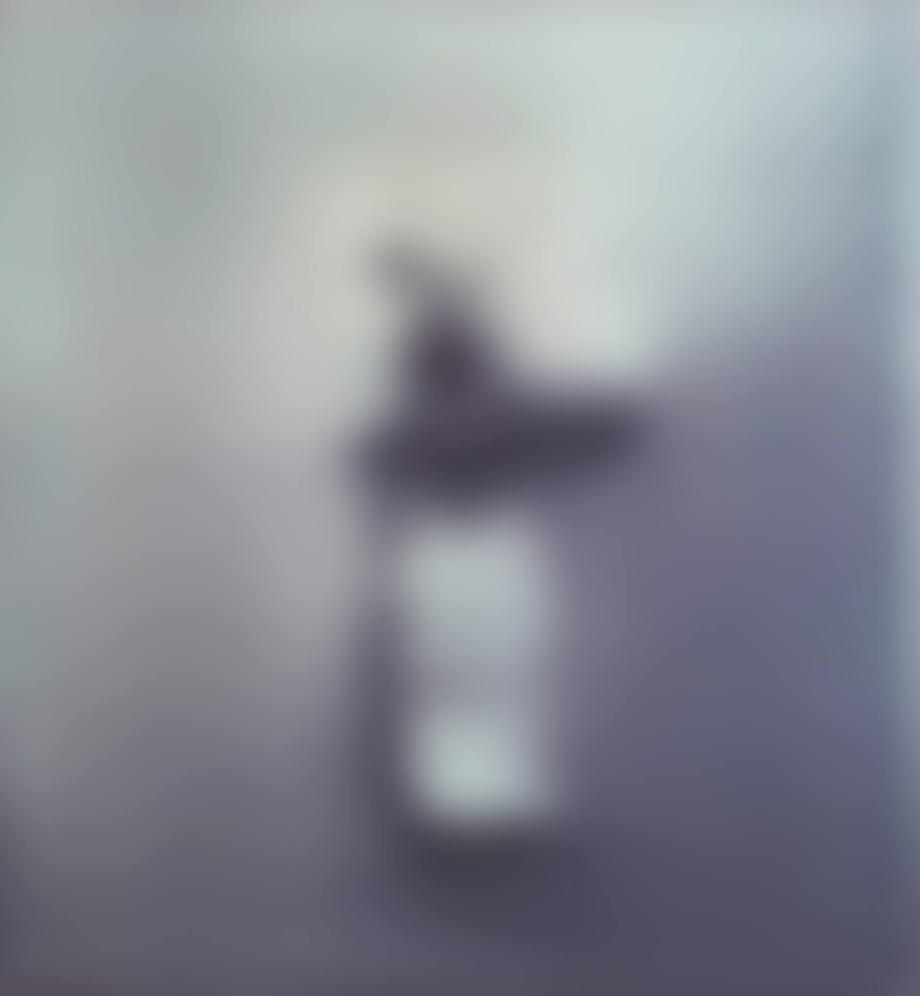 Loo Paper (preview)