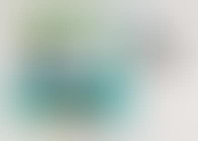 Bergblumen (preview)