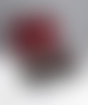 Silber 800 (preview)
