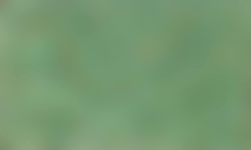 Recurrence (preview)