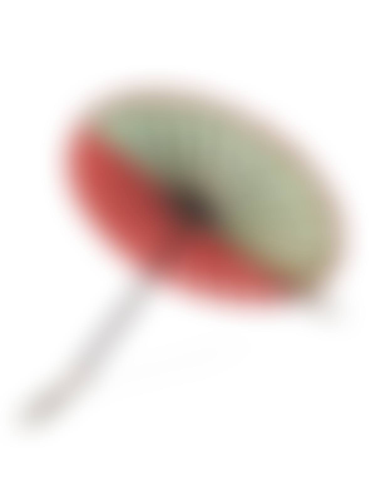 Parasol with Painted Ox-Horn Sheet (preview)