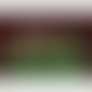 FLOWERS (Kusama 84) (preview)
