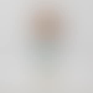 Hand Searching (No. YNF6892) (preview)