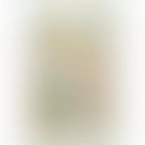 恥ずべきことを恥じず恥ずかしくないことを恥じる、石ではなく体は、その上で消えていった雪のことを決して忘れない。立派な大理石はぼろぼろになるまで何百年もかかる(その間、あたまの上に広がっているのは空だけ)。石像として立つより(どうにもならぬ)体をあずかり、ひょっこり斃れるまで(わずかの年月)波と空のあはひにいて、戯れる。 (preview)