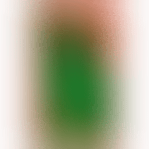 Statue of Liberty (Littmann P.63) (preview)