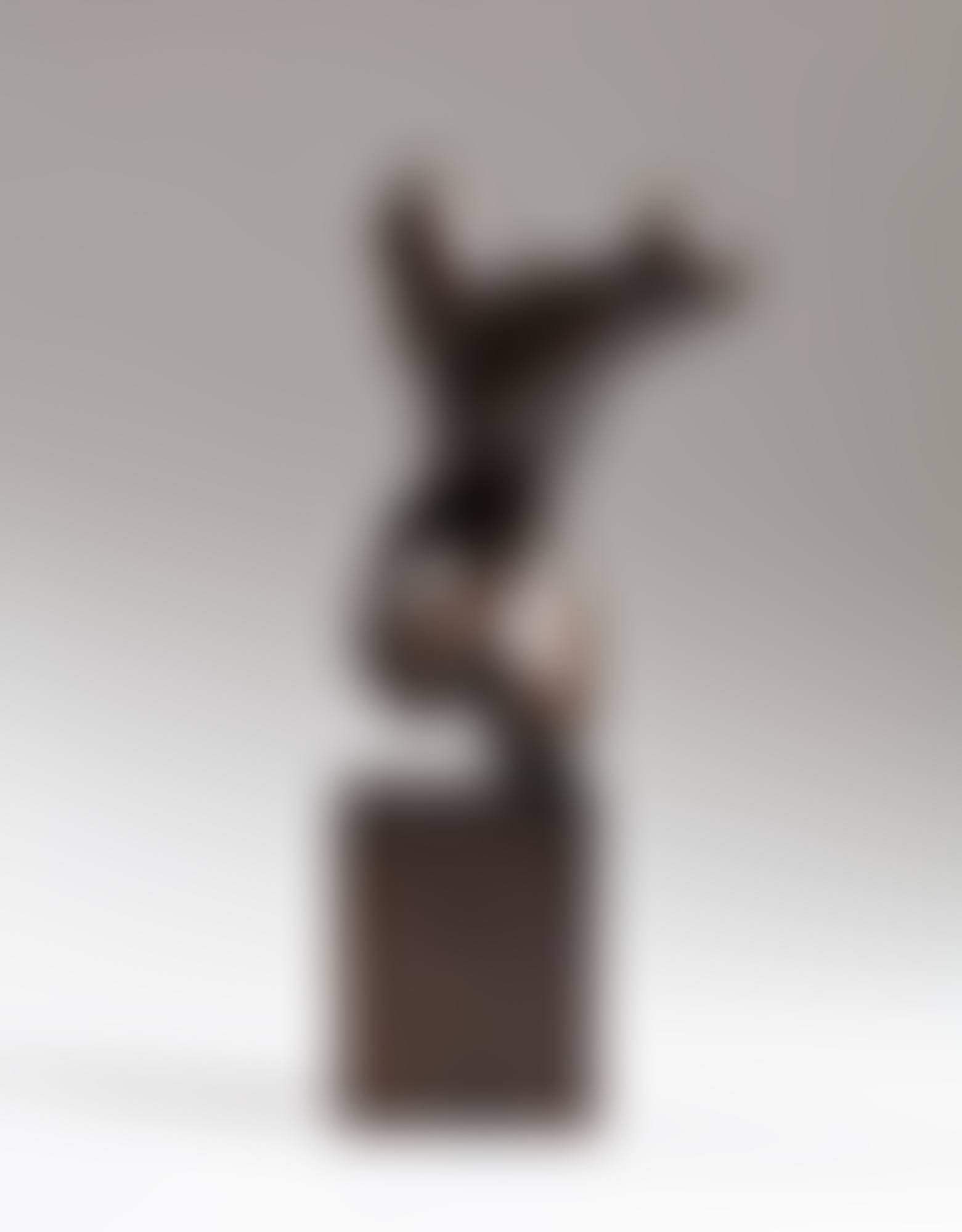 Torse (preview)