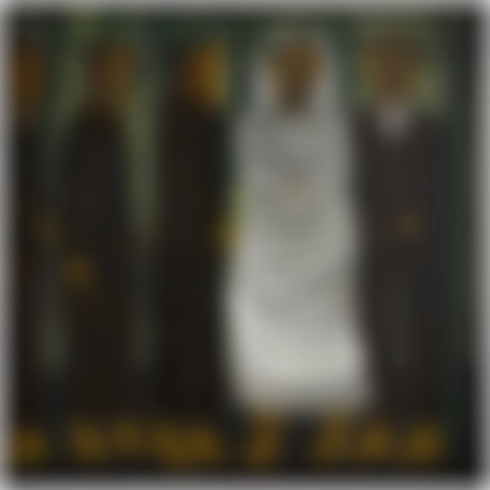 The Bride and Queue of Admirers (preview)
