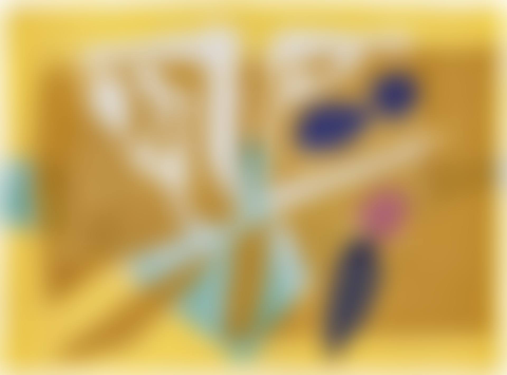 Untitled/IPCNY (preview)