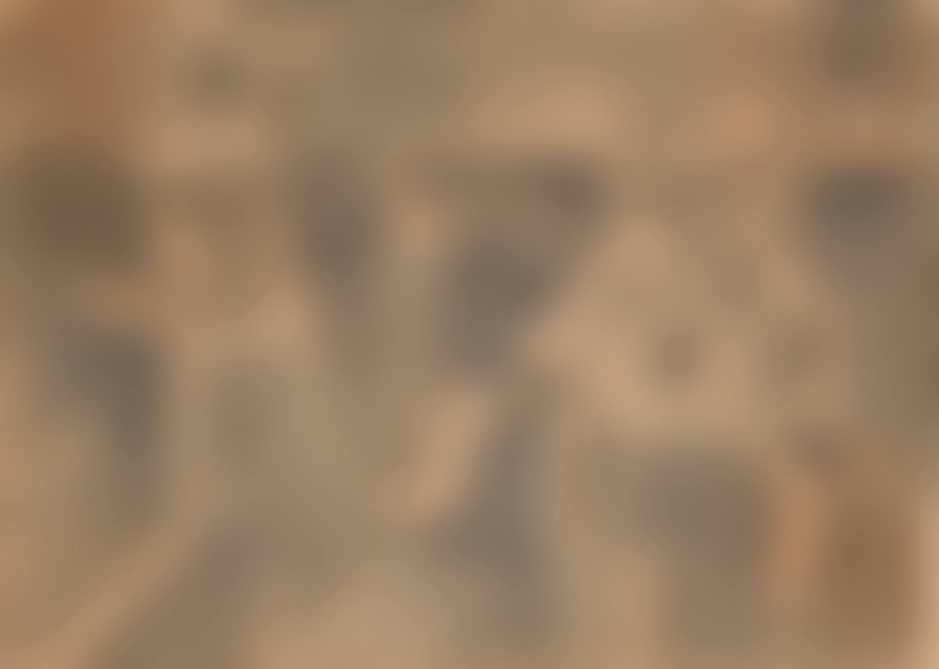 Küstenlandschaft (preview)