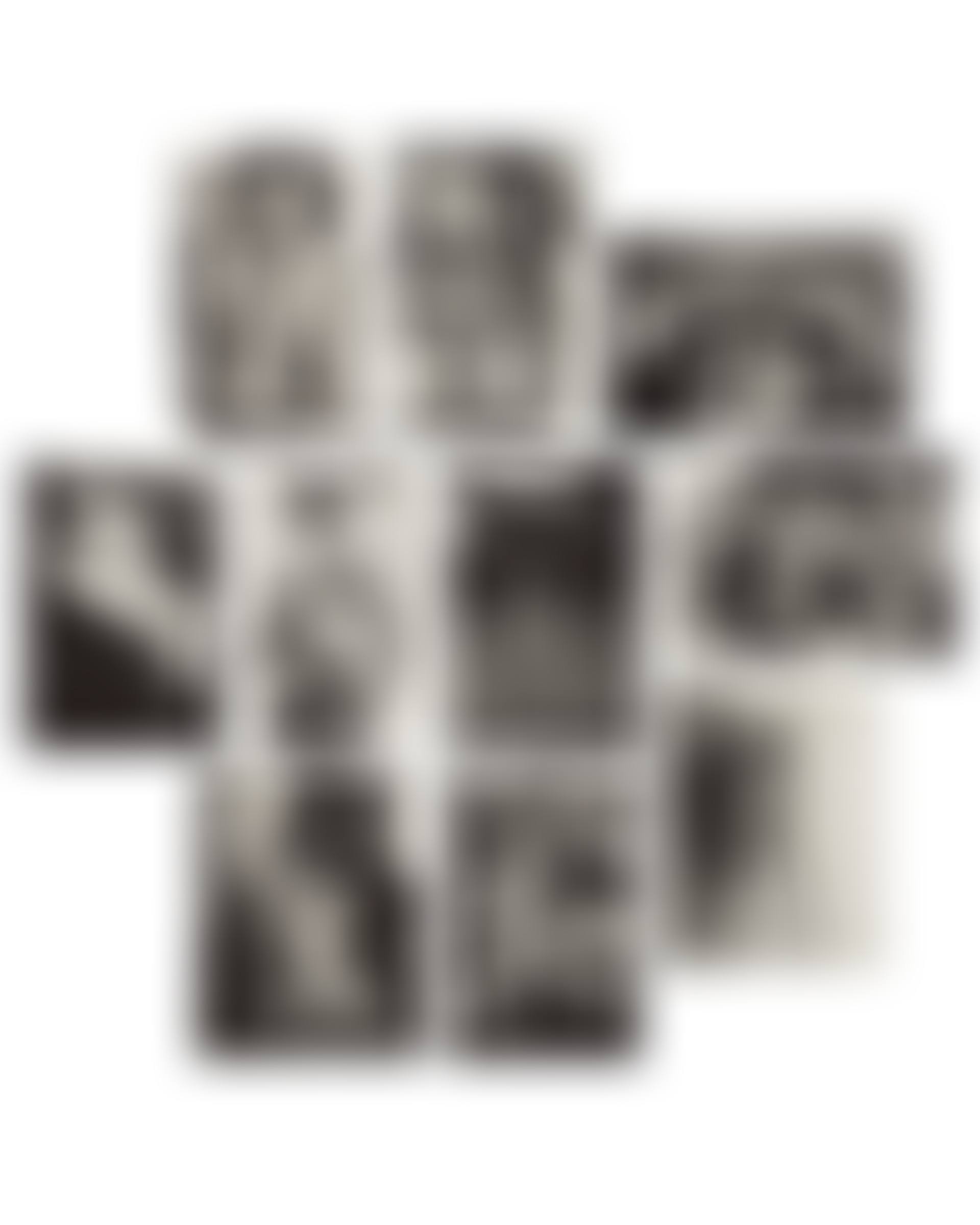 Classic Portfolio (Helmut Newton Photographien) (preview)