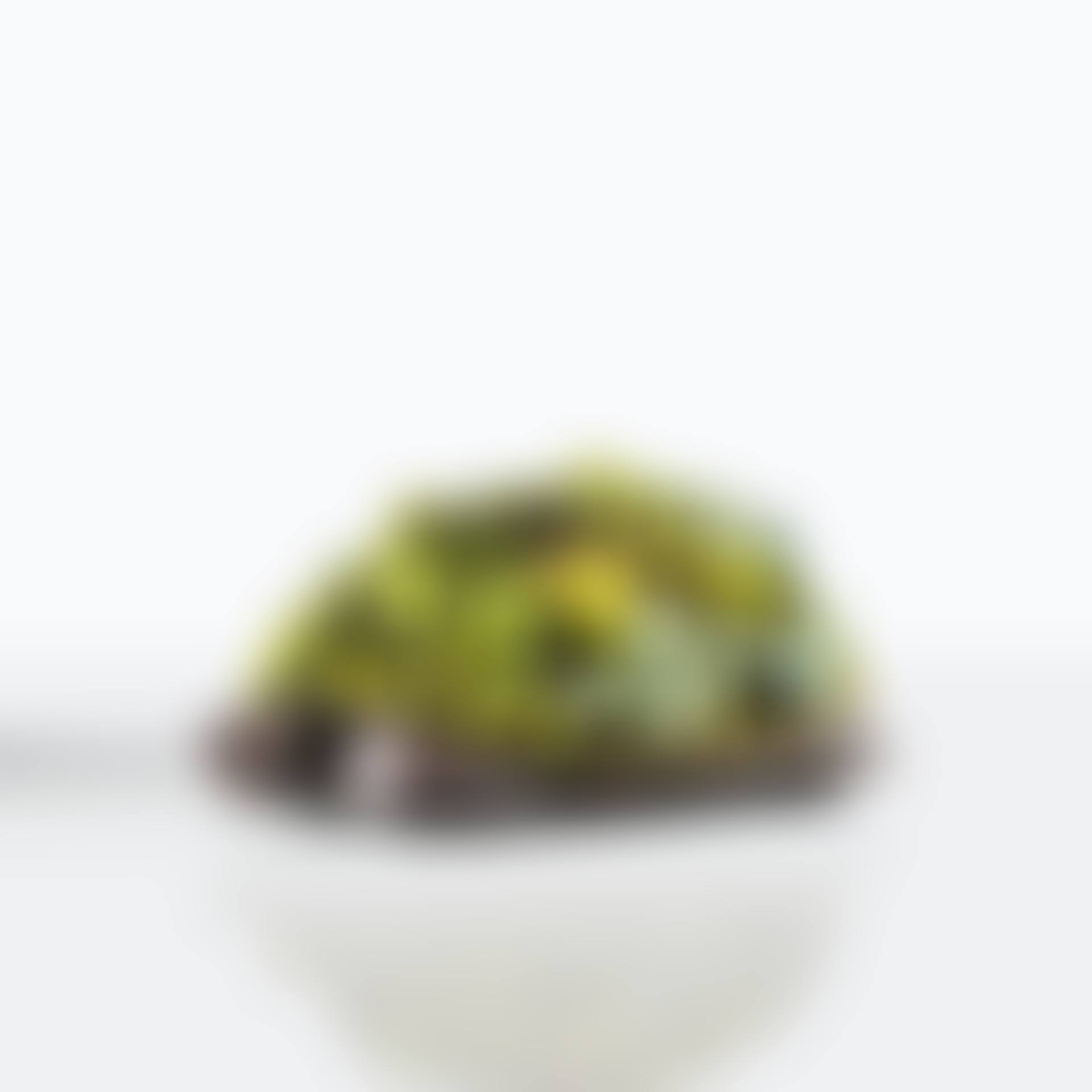 Tortue topiaire III (preview)