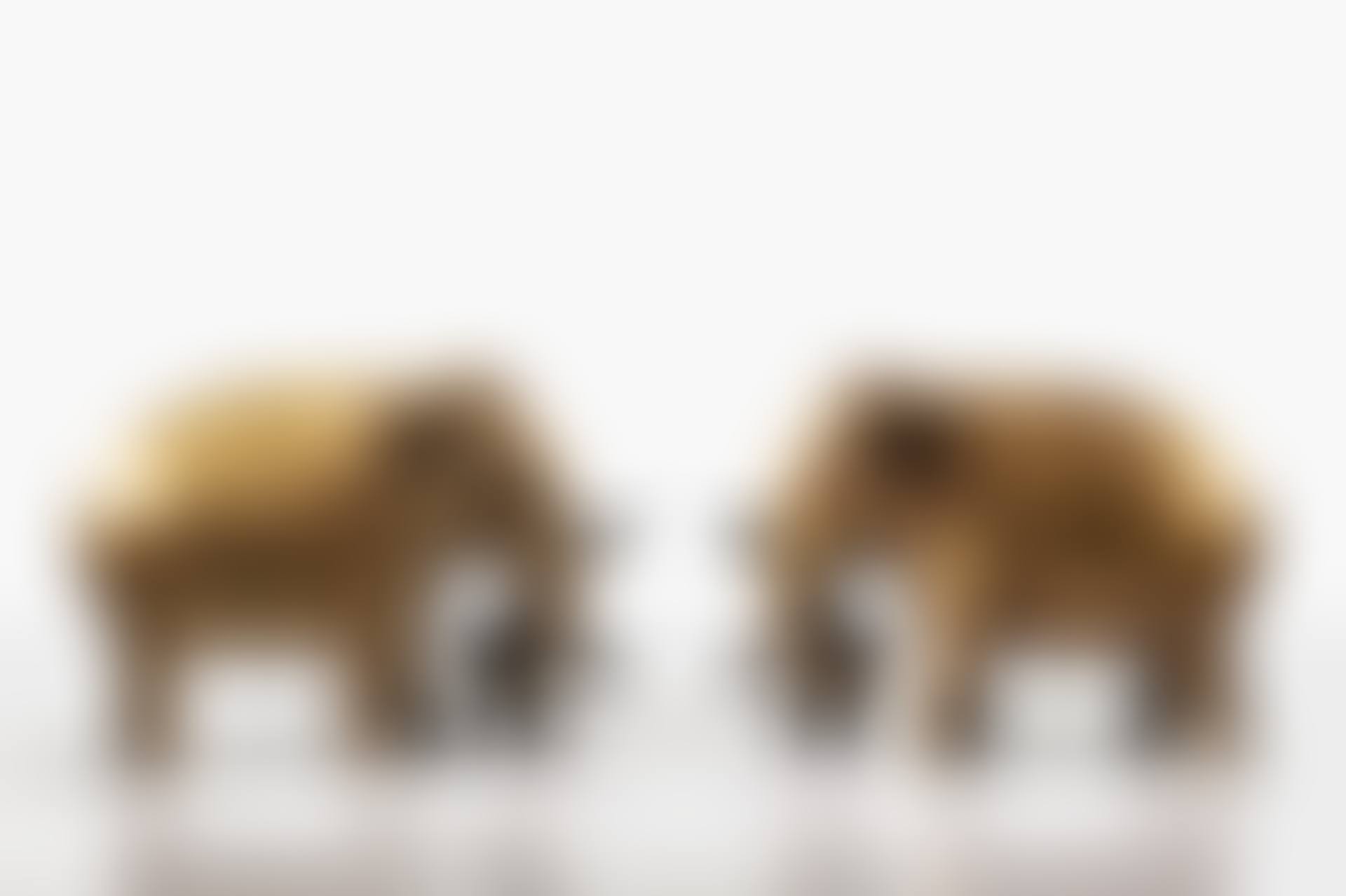 Paire de chenets Eléphants de Meryll (preview)