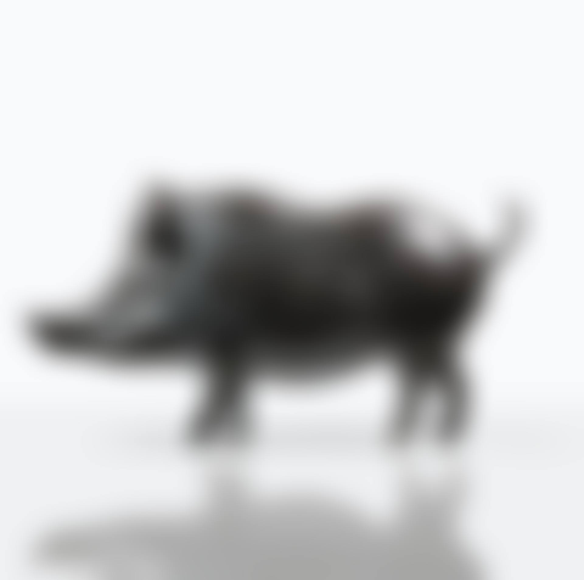 Sanglier de Villepinte (preview)
