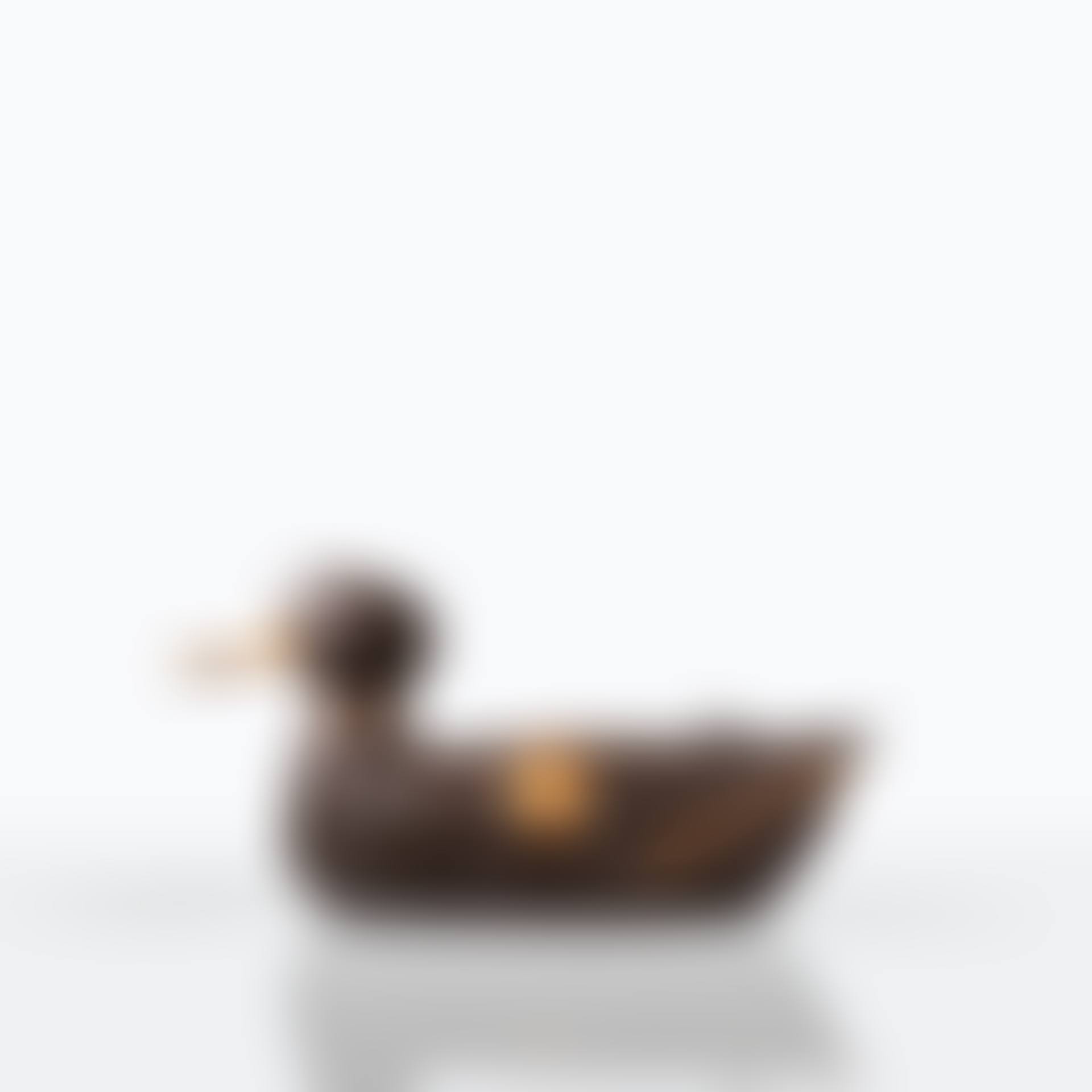 Canard (preview)