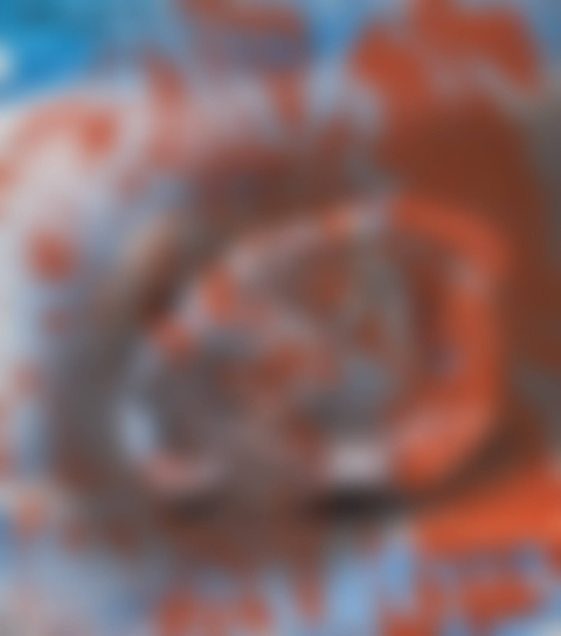 Seafloor Legend (preview)
