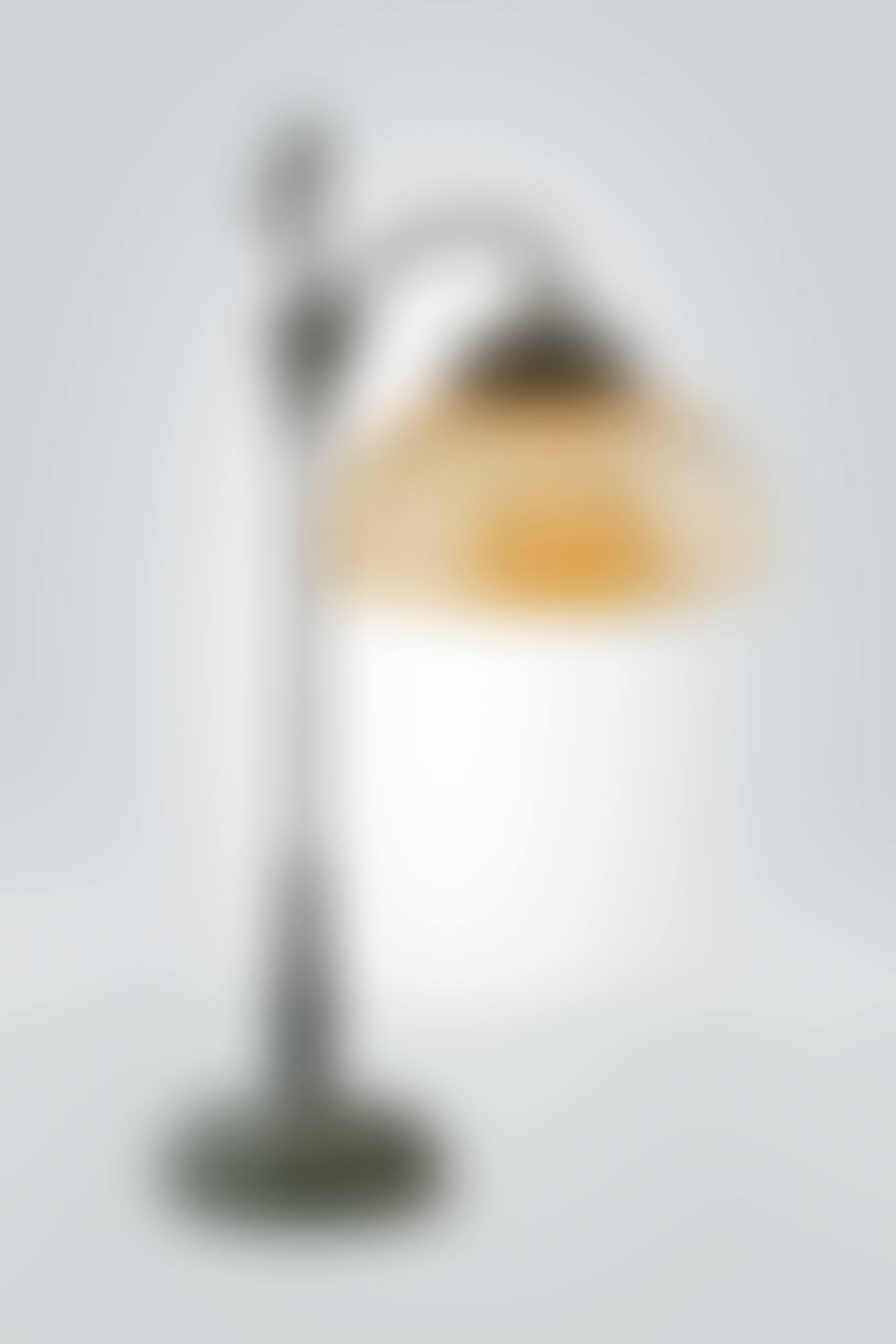 Adjustable Student Lamp (preview)