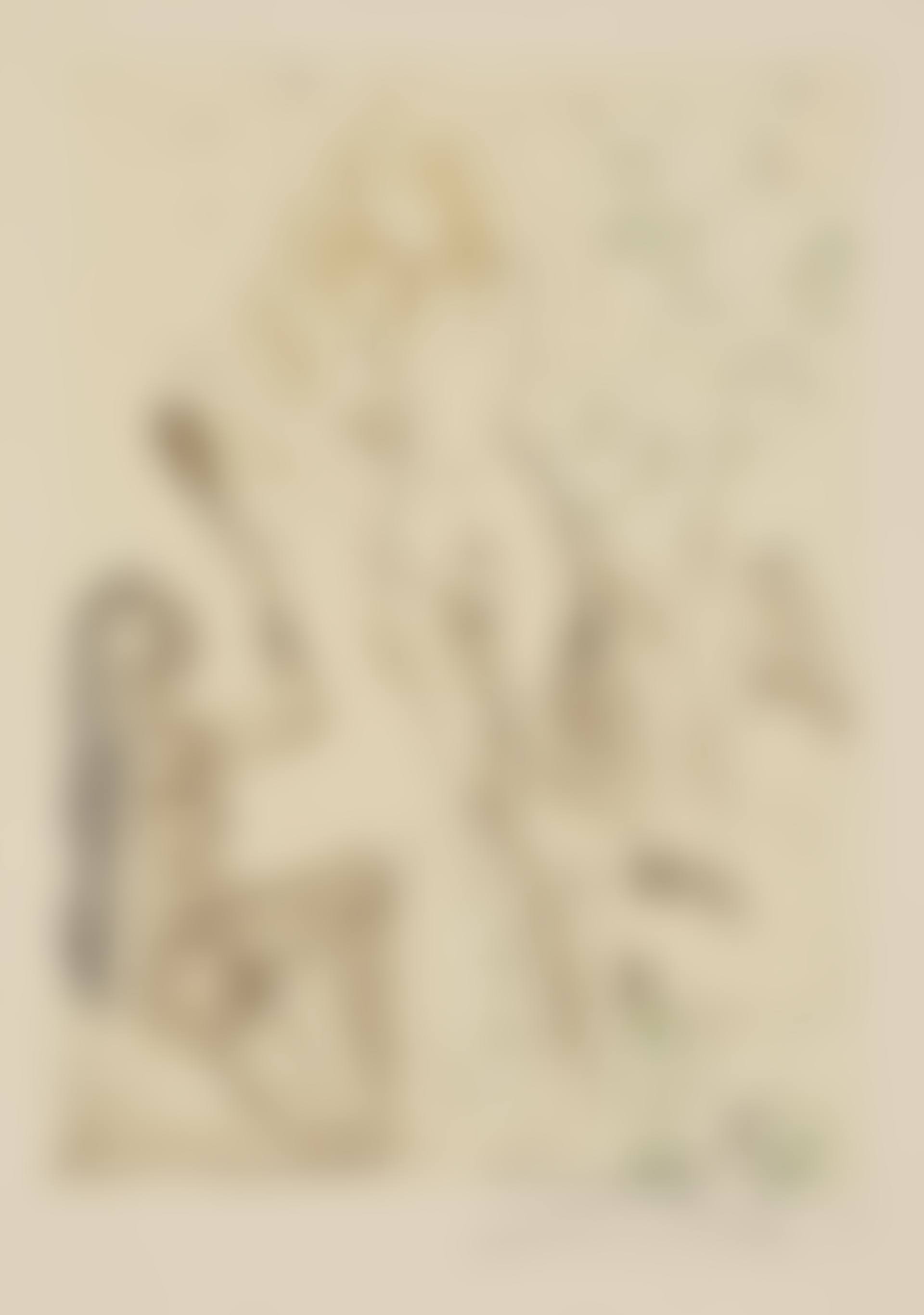 Le Décaméron by Giovanni Boccaccio (20 works) (preview)