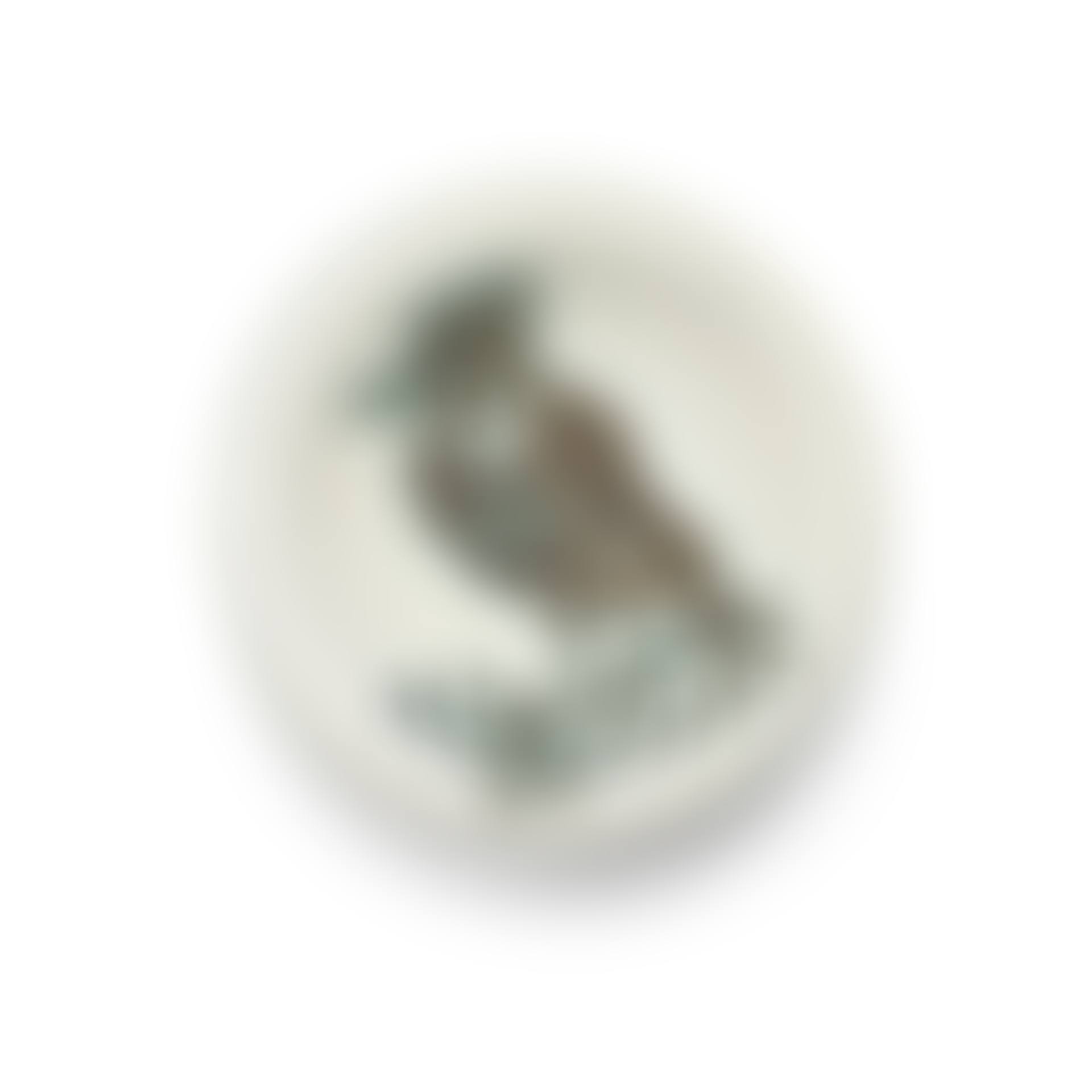 Bird with Tuft (preview)