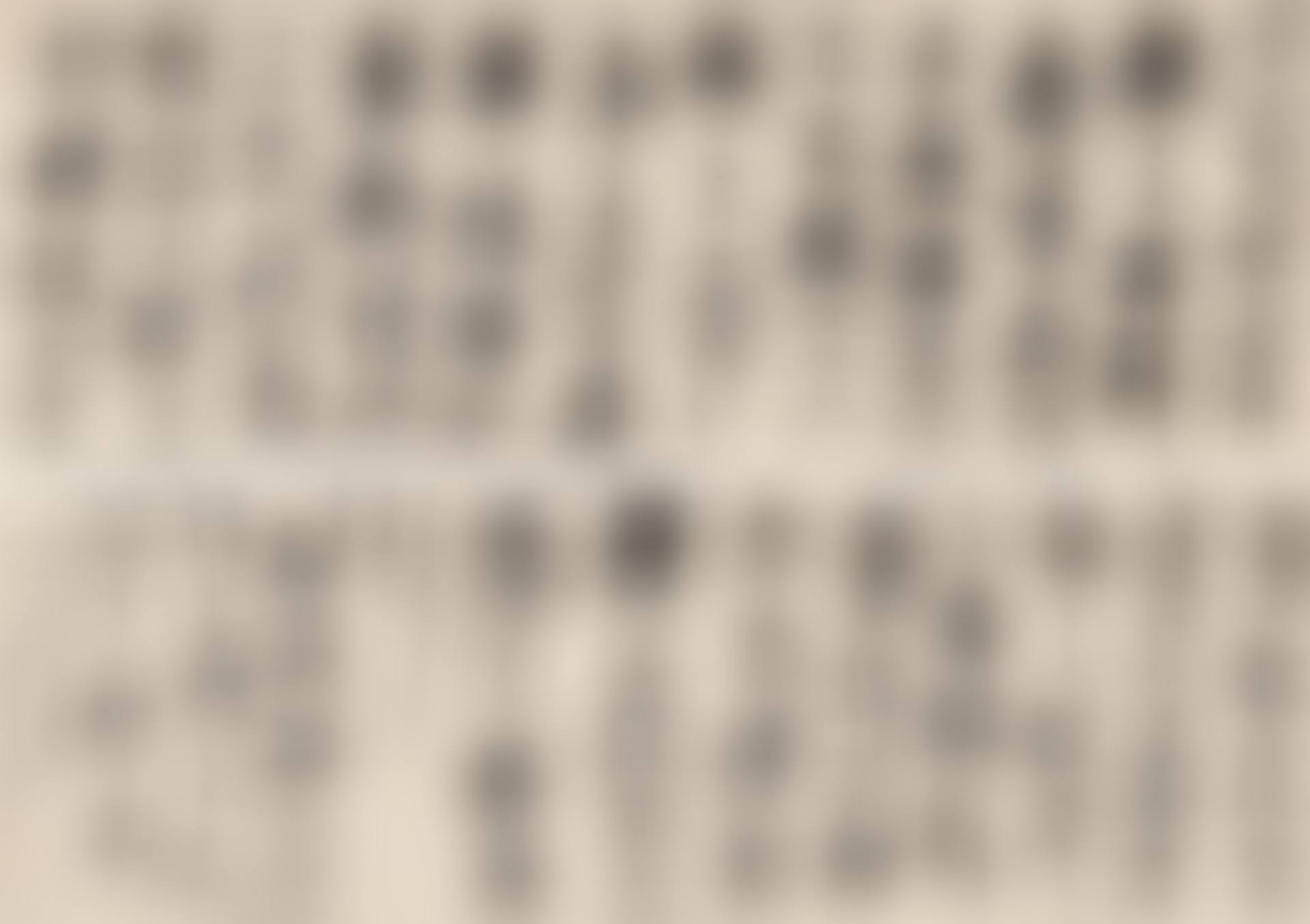 CALLIGRAPHY (preview)