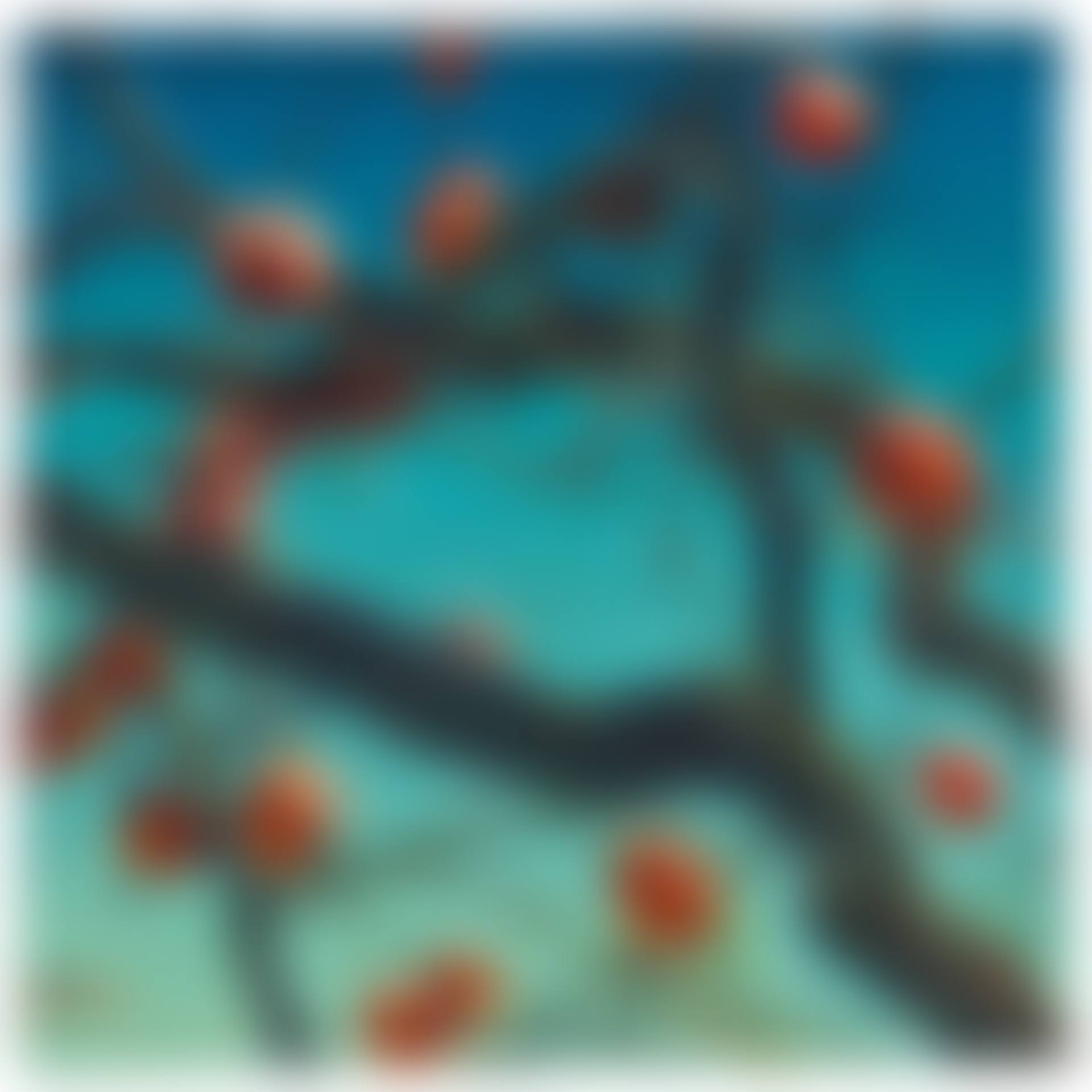 Persimmons (preview)