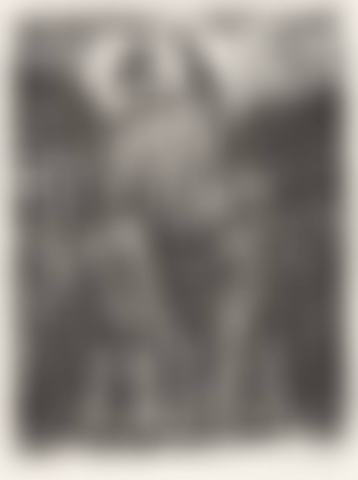 Group of 4 wood engravings.; Concierto de locos (God and the Four Evangelists, Fool"s Concert); Mitin improvisado (Street Meeting); El rayo (The Thunderbolt); What May Come (preview)
