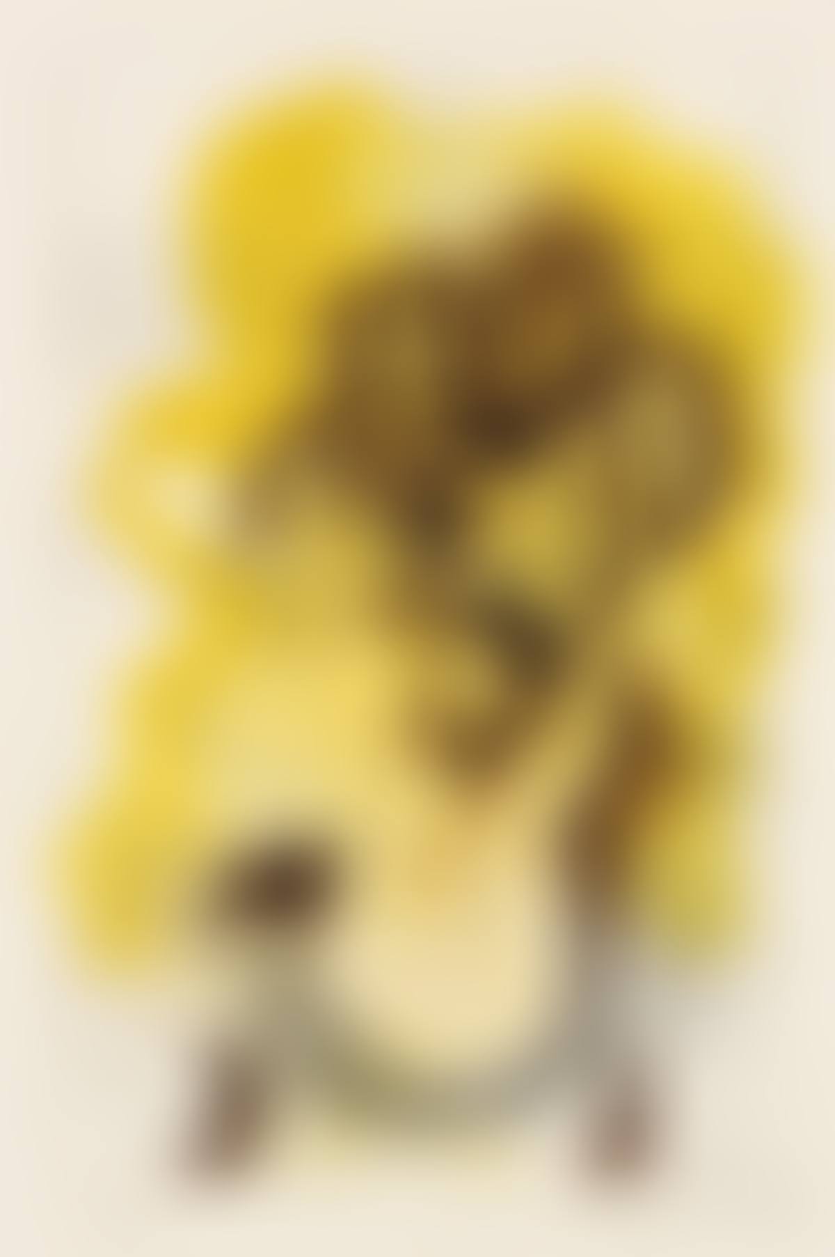 Bouquet de fleurs jaunes . (preview)