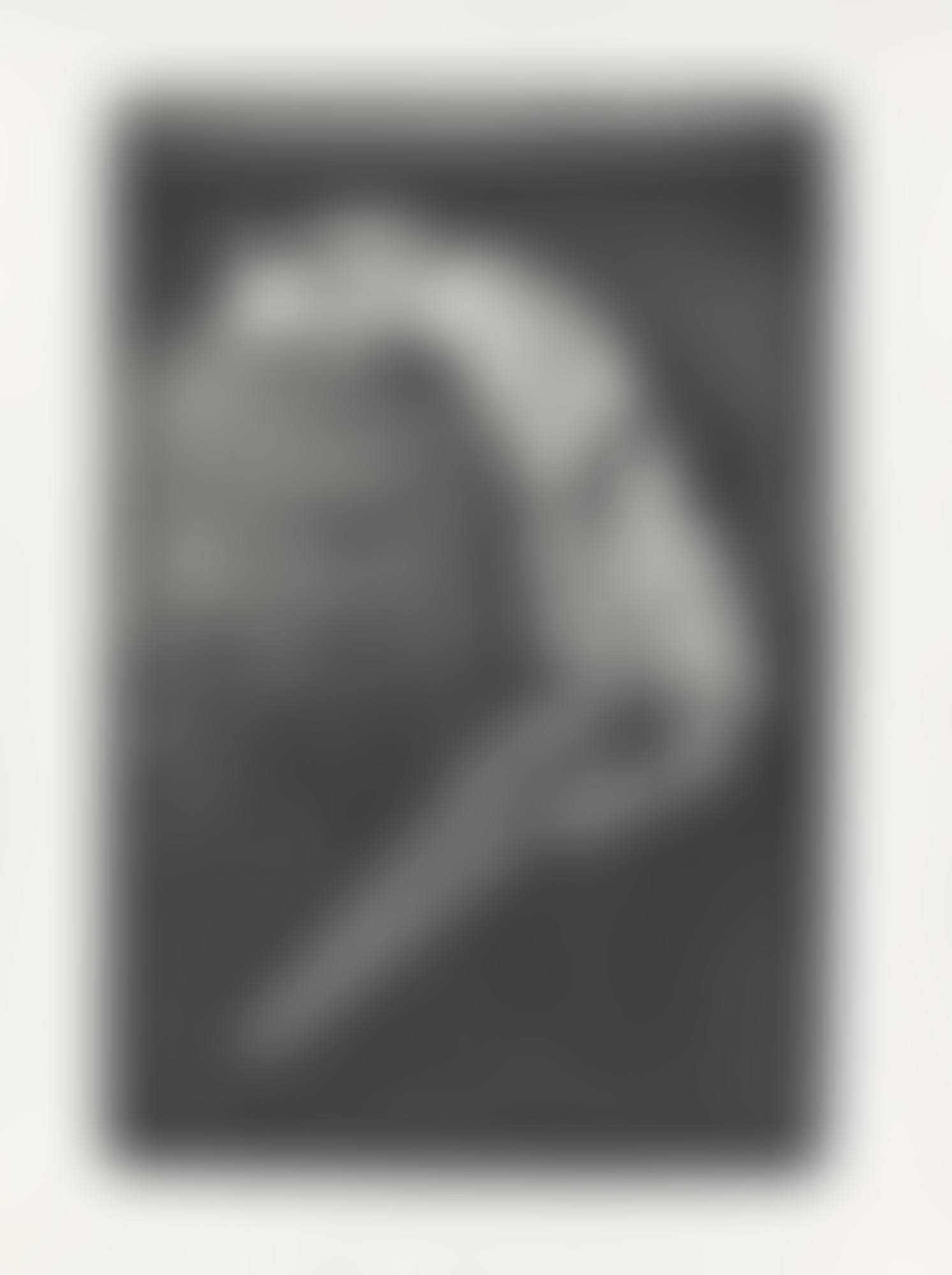 ”Portrait Sigmar Polke mit Schlangenhaut in Willich, Gaspelshof” (preview)
