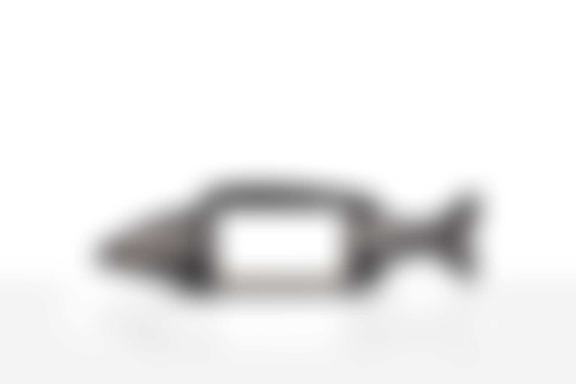 Poisson Paysage IV (preview)