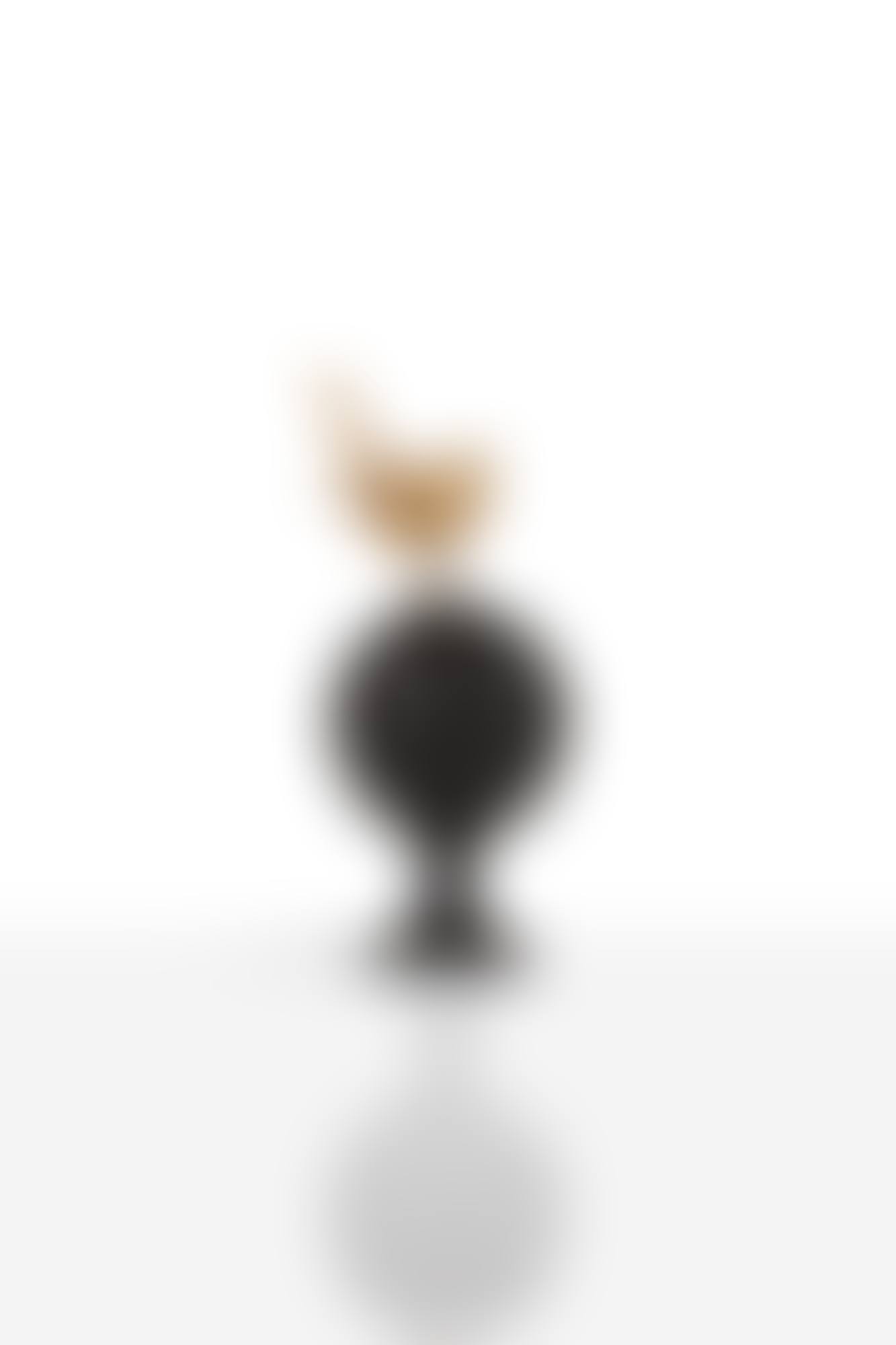 Petit Oiseau sur la Boule (preview)