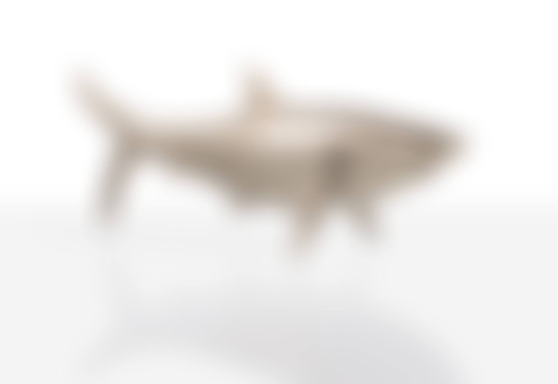 Requin Moyen (preview)