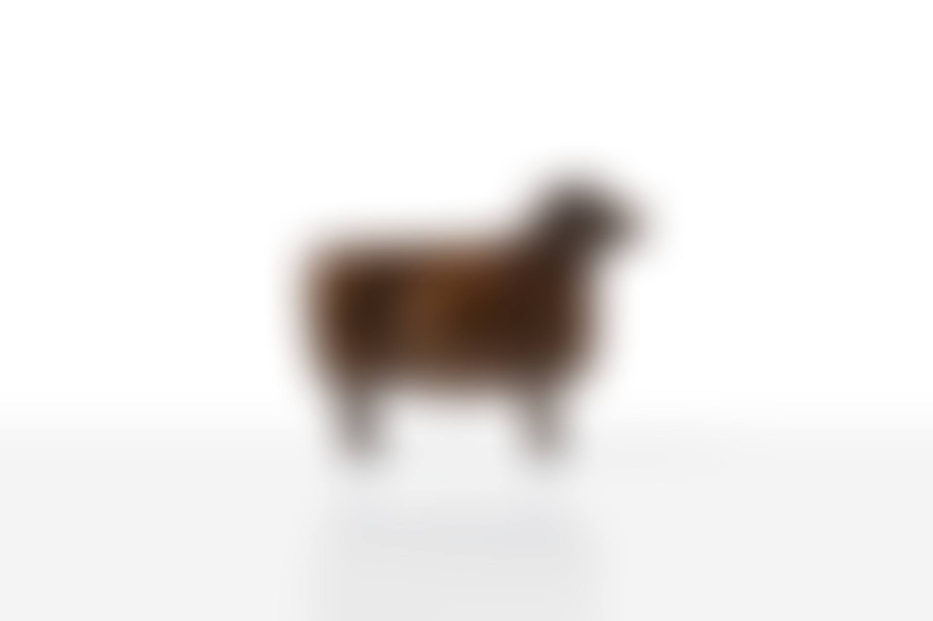 Petit Mouton de Peter (preview)