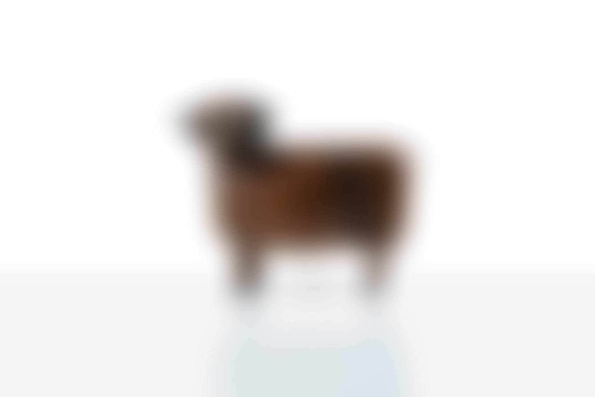 Petit Mouton de Peter (preview)