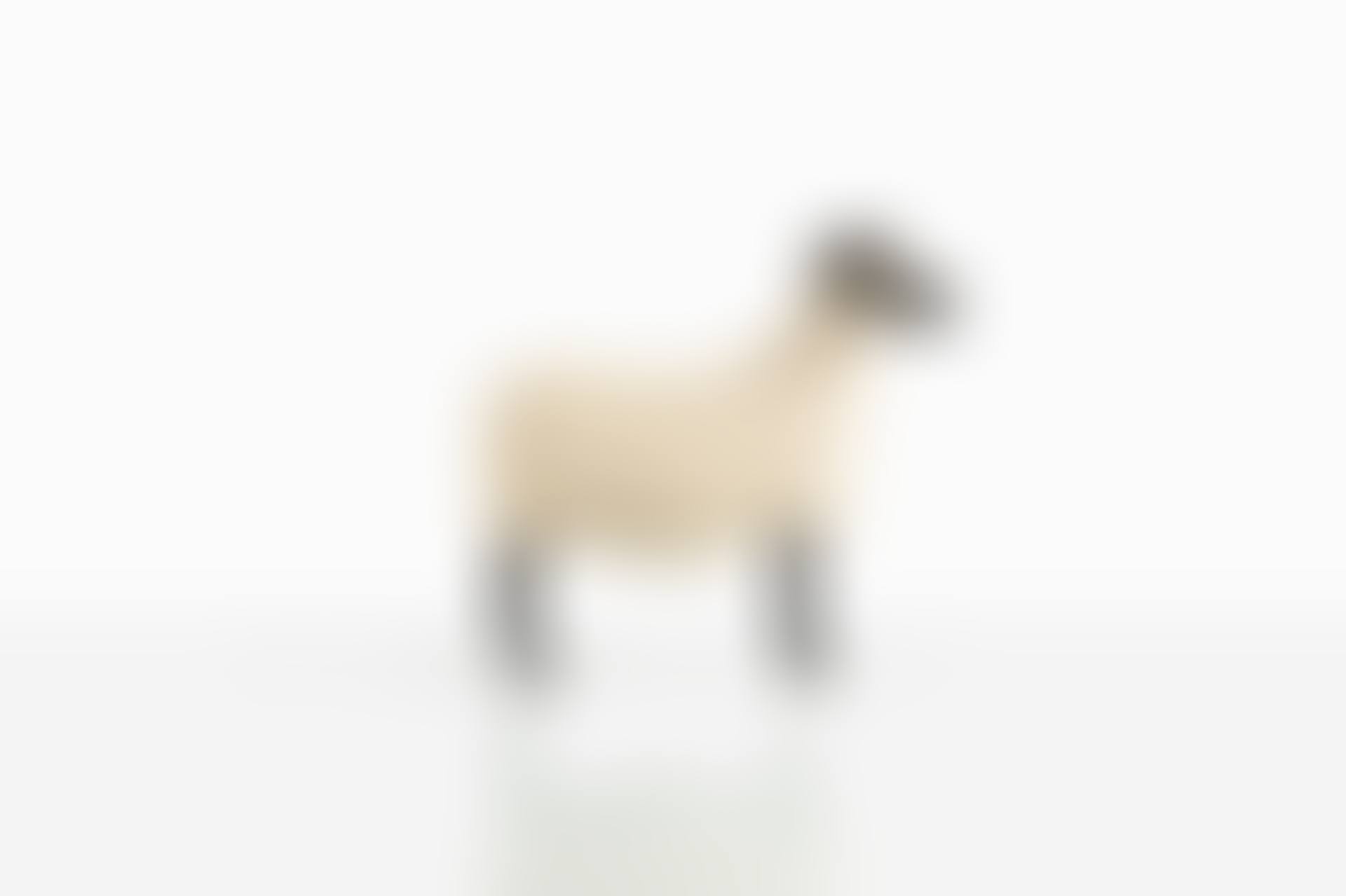 Bélier, Série des Nouveaux Moutons (preview)