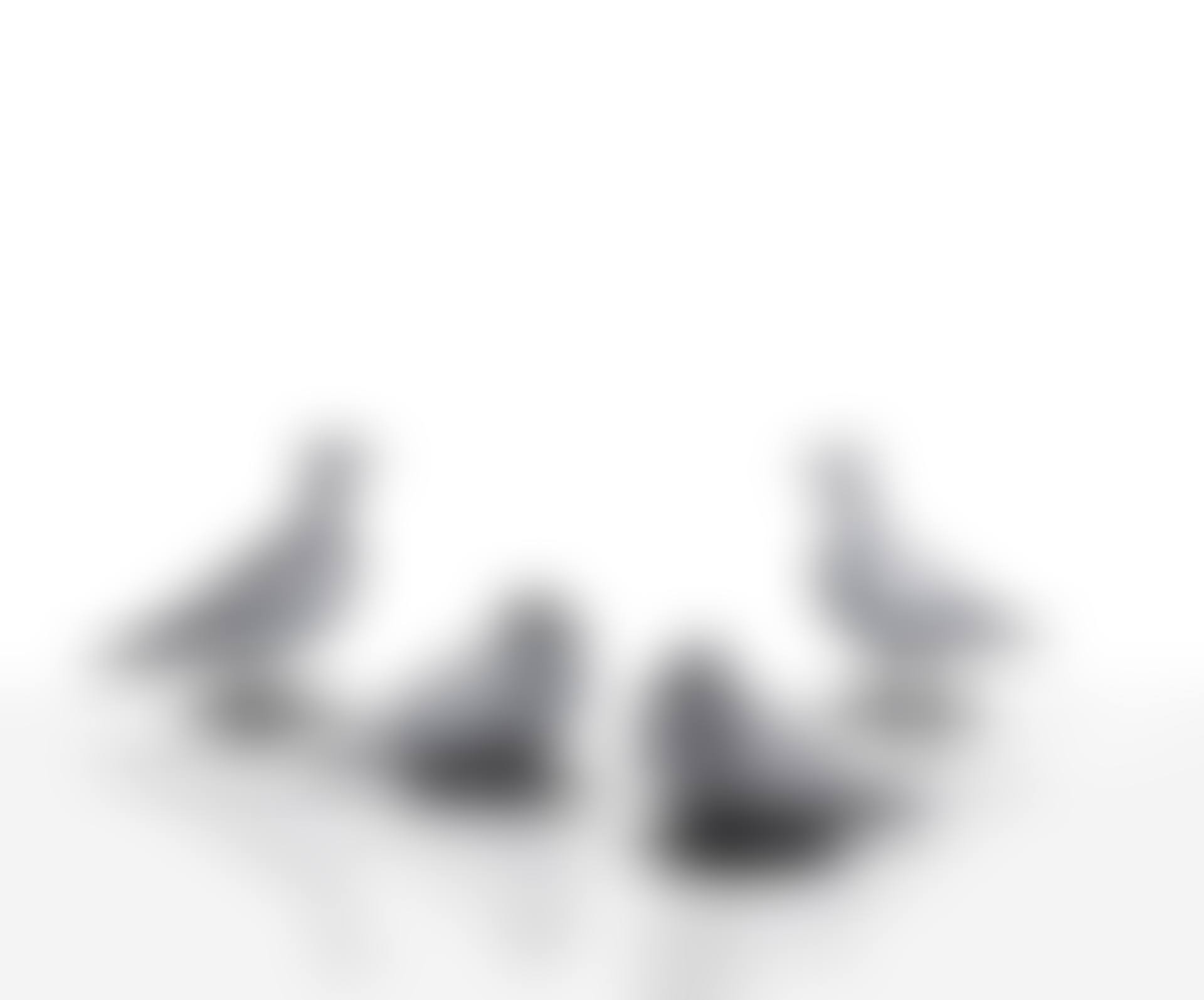 Pigeons de Southampton I et II (preview)