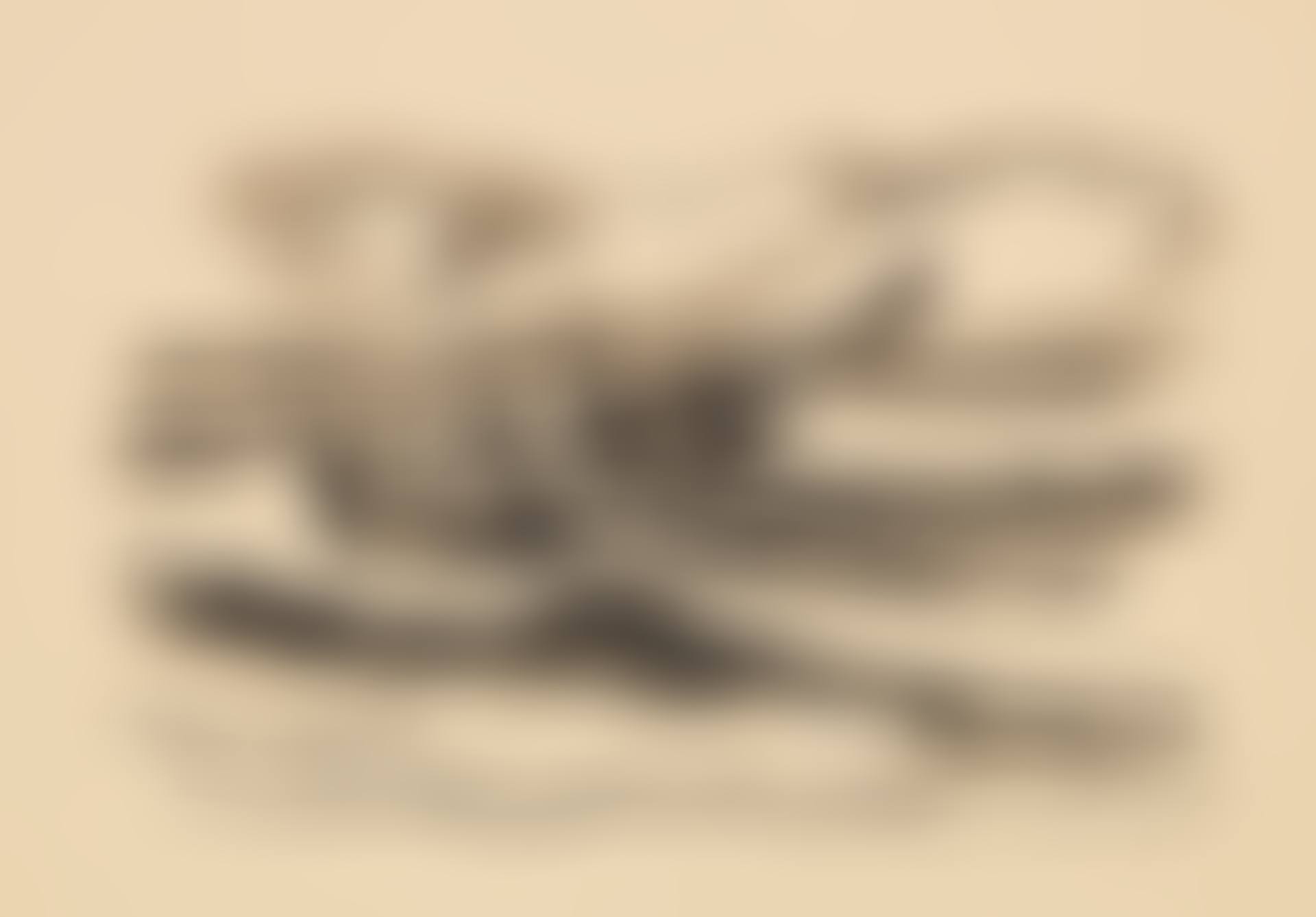 Netzeinholen (preview)