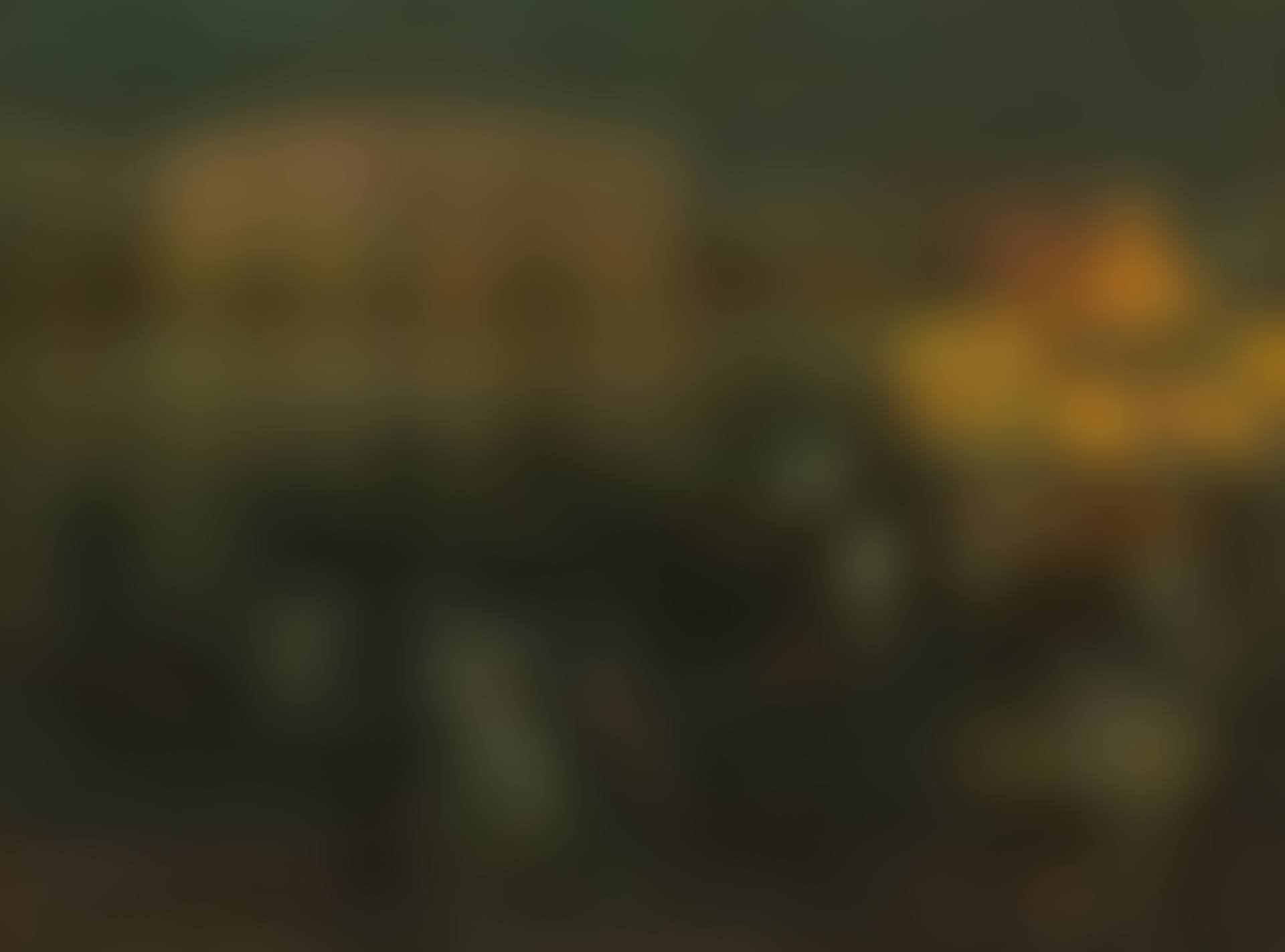 La Sérénade, Venise (preview)