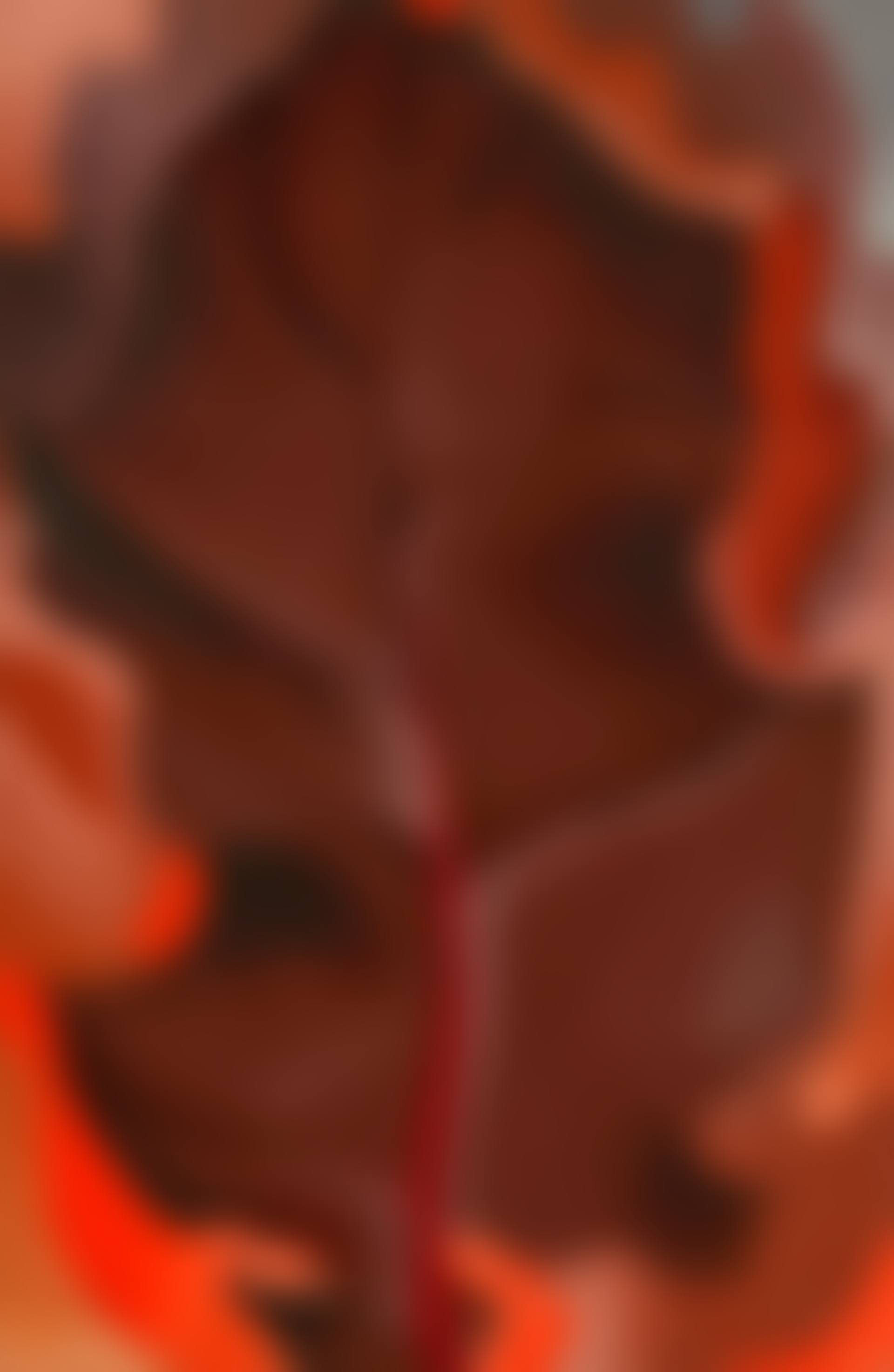 Autumn Leaf II (preview)