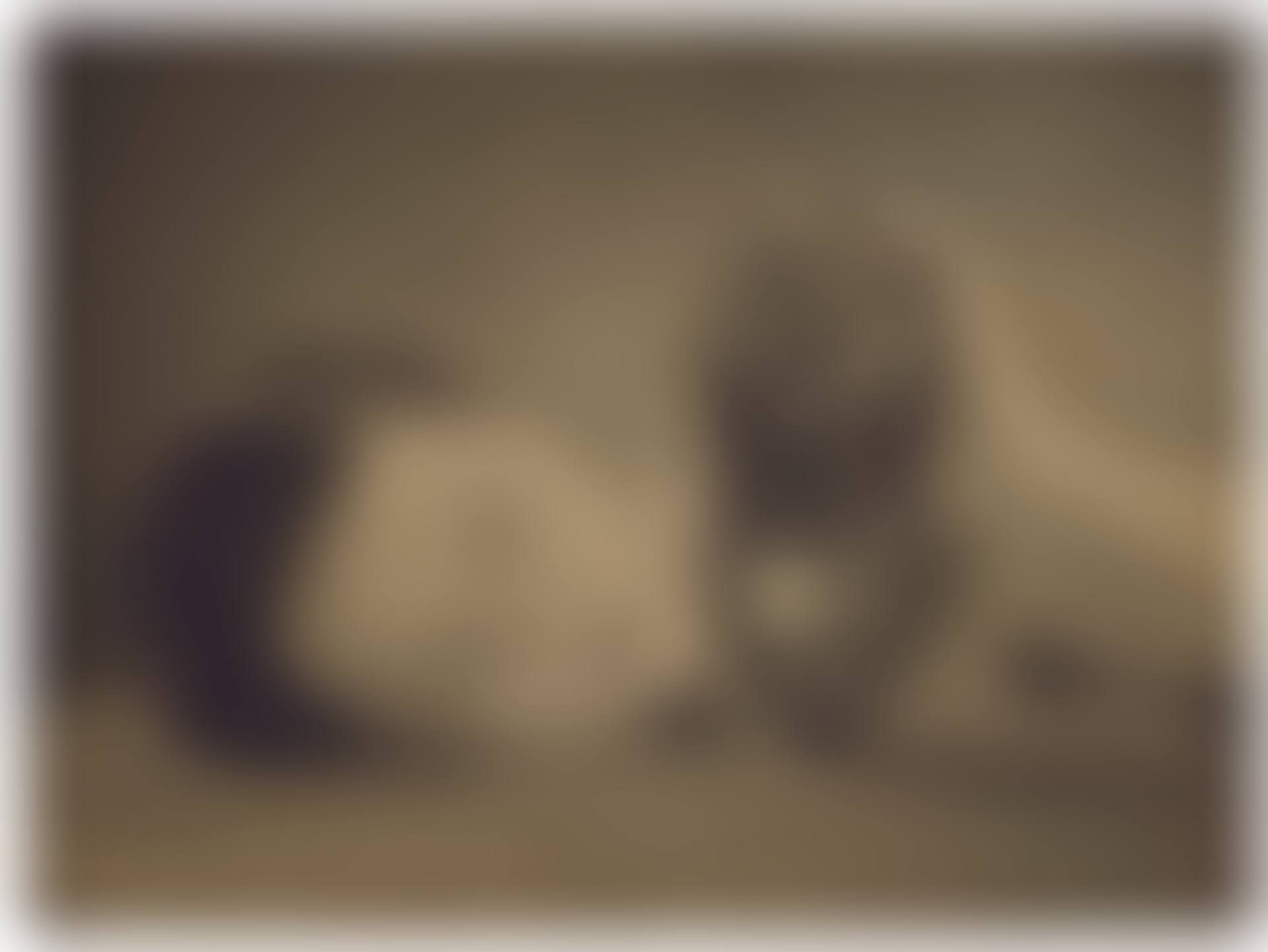 Noire et Blanche (preview)