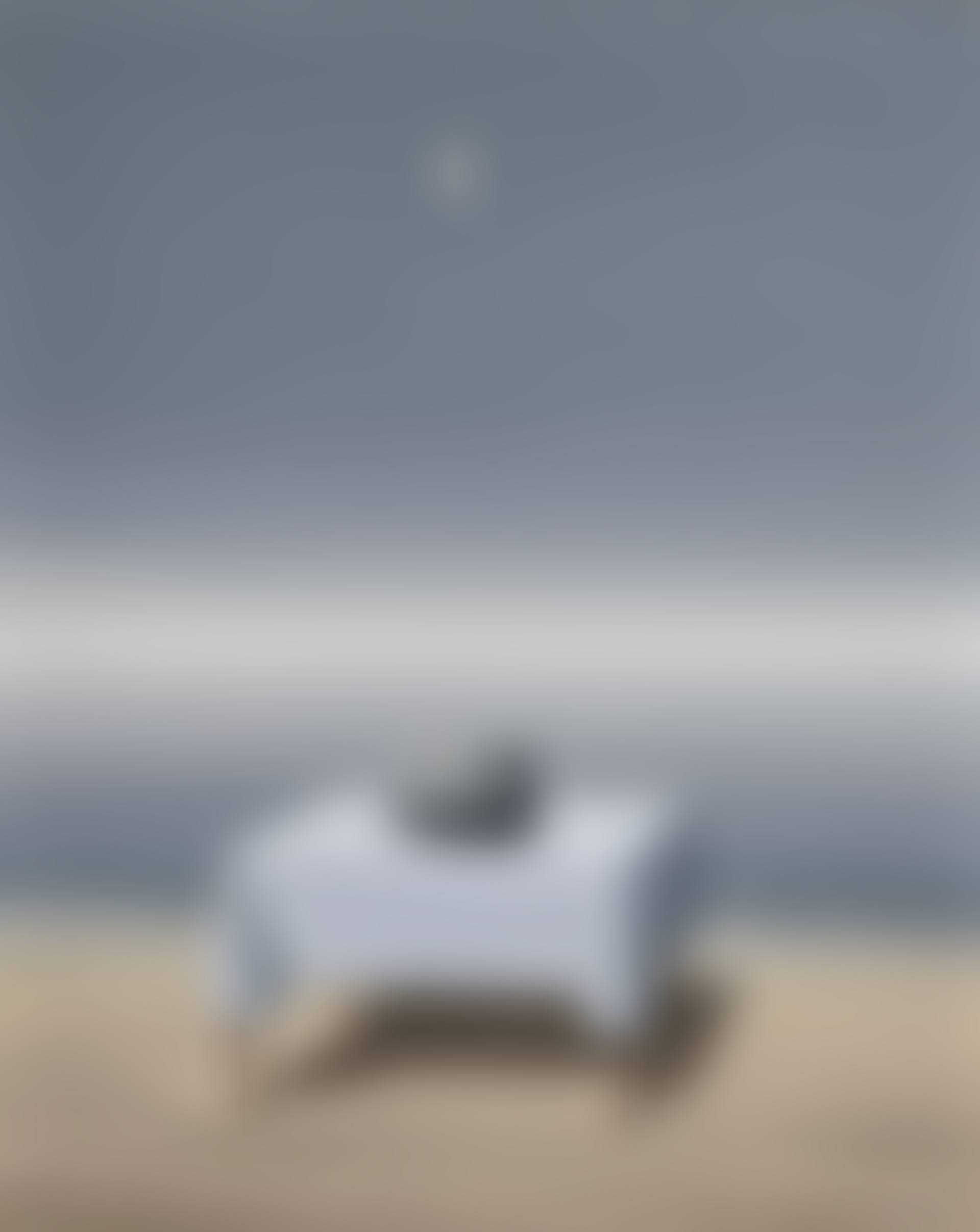 Le monde visible (preview)