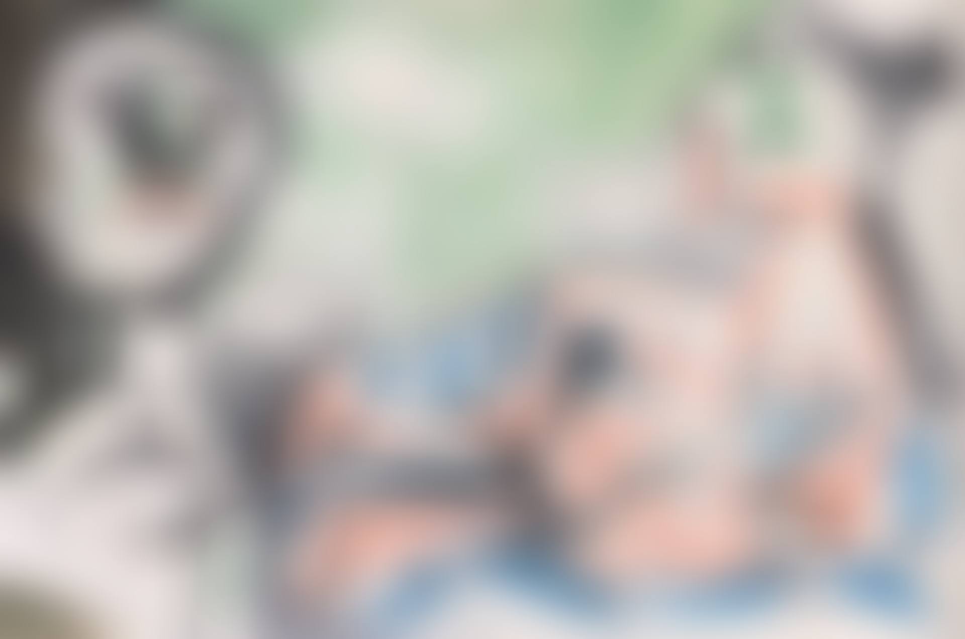 Le peintre et son modèle (preview)