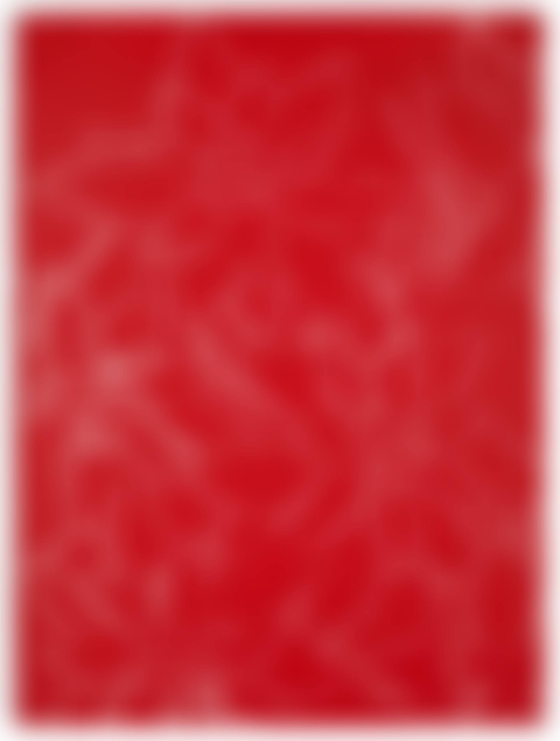 Poinsettias (preview)
